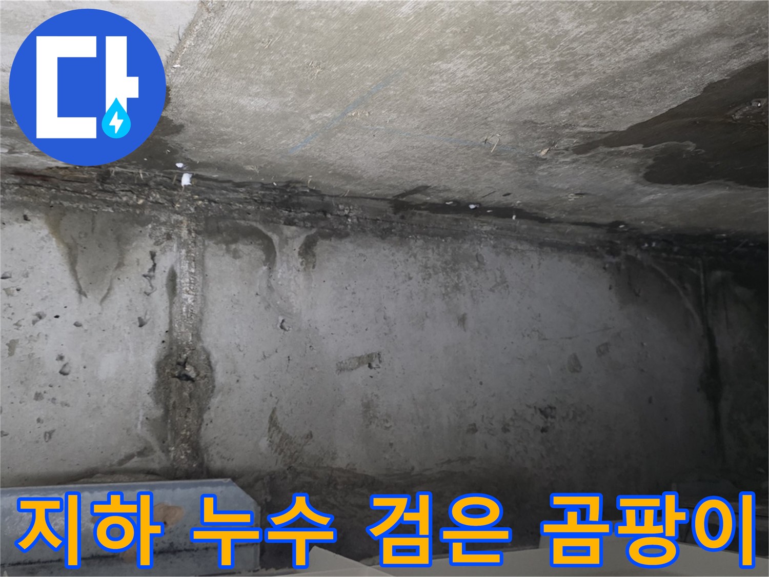 남양주 건물 지하 누수 - 검은 곰팡이
