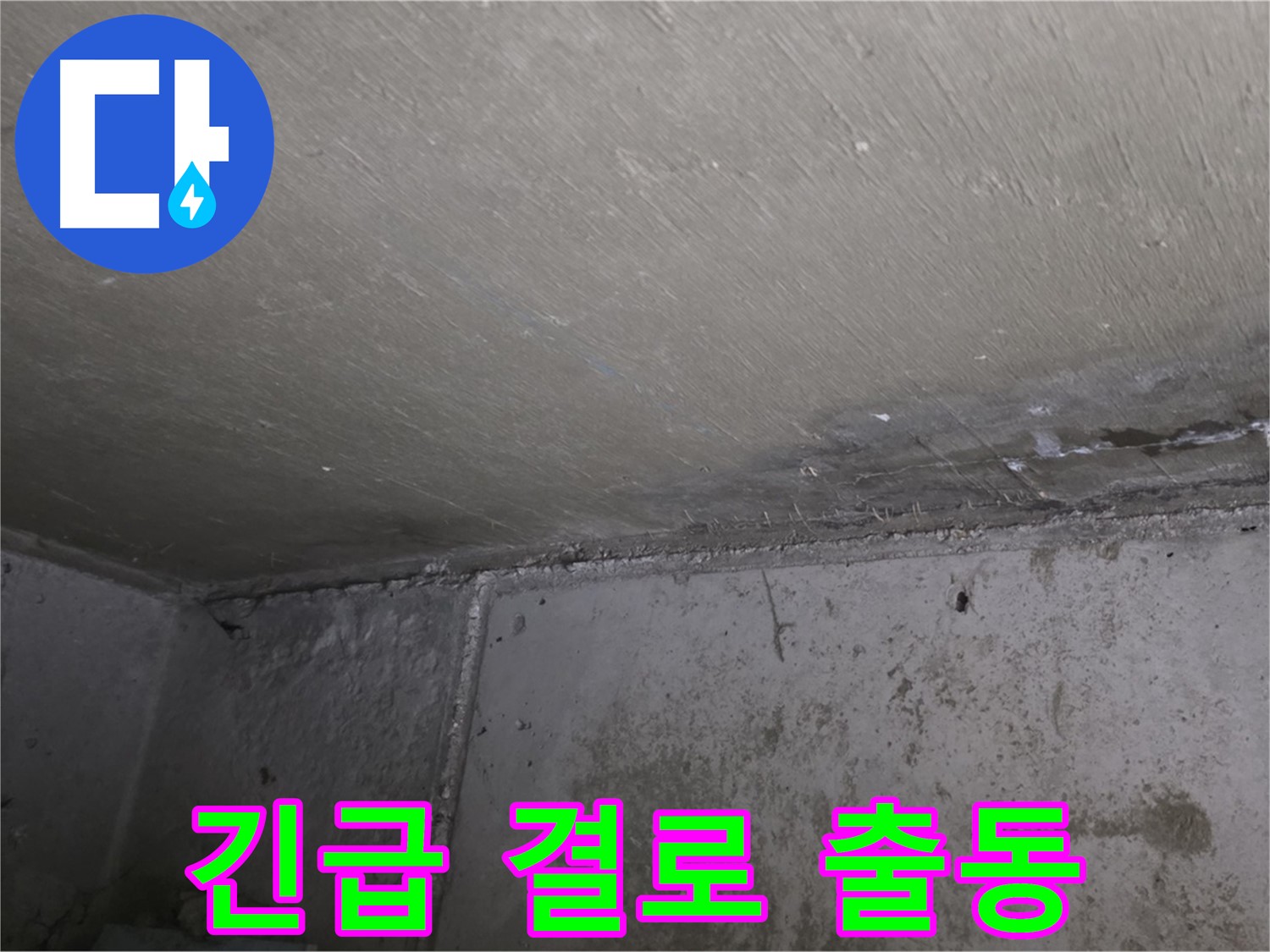 남양주 오남 결로 긴급 출동 - 벽 곰팡이 문제 해결