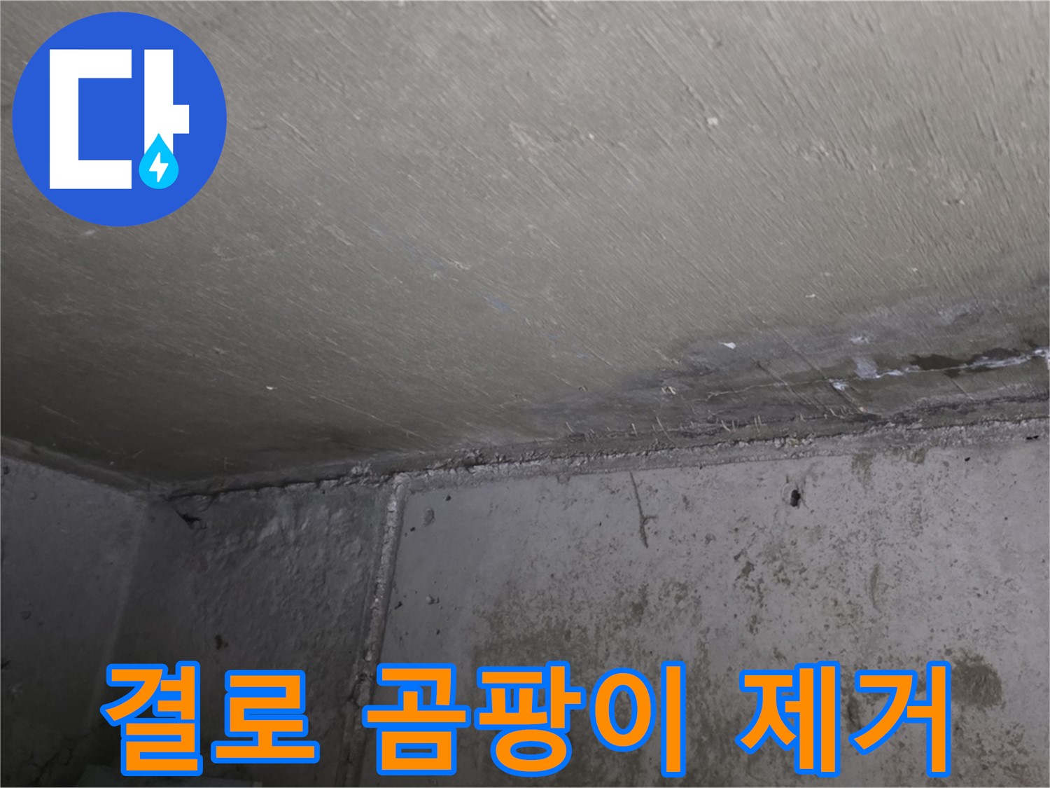 남양주 오남 두산아파트 벽 곰팡이 제거 - 쾌적한 공간