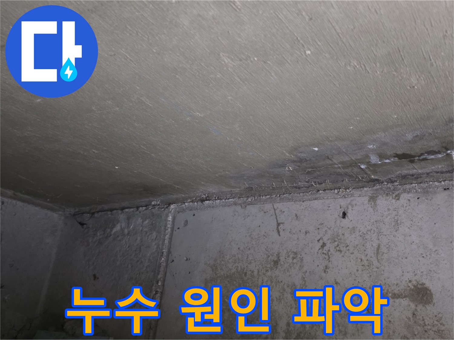 남양주 오남 아파트 천장 곰팡이 - 누수 원인 파악 및 해결