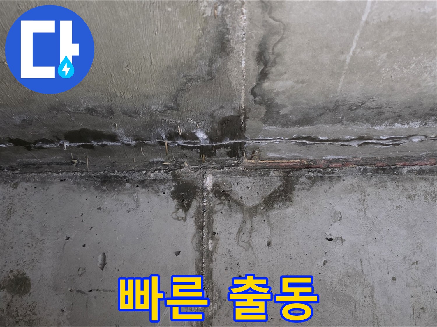 남양주 오남읍 두산아파트 벽 누수 - 빠른 출동 서비스