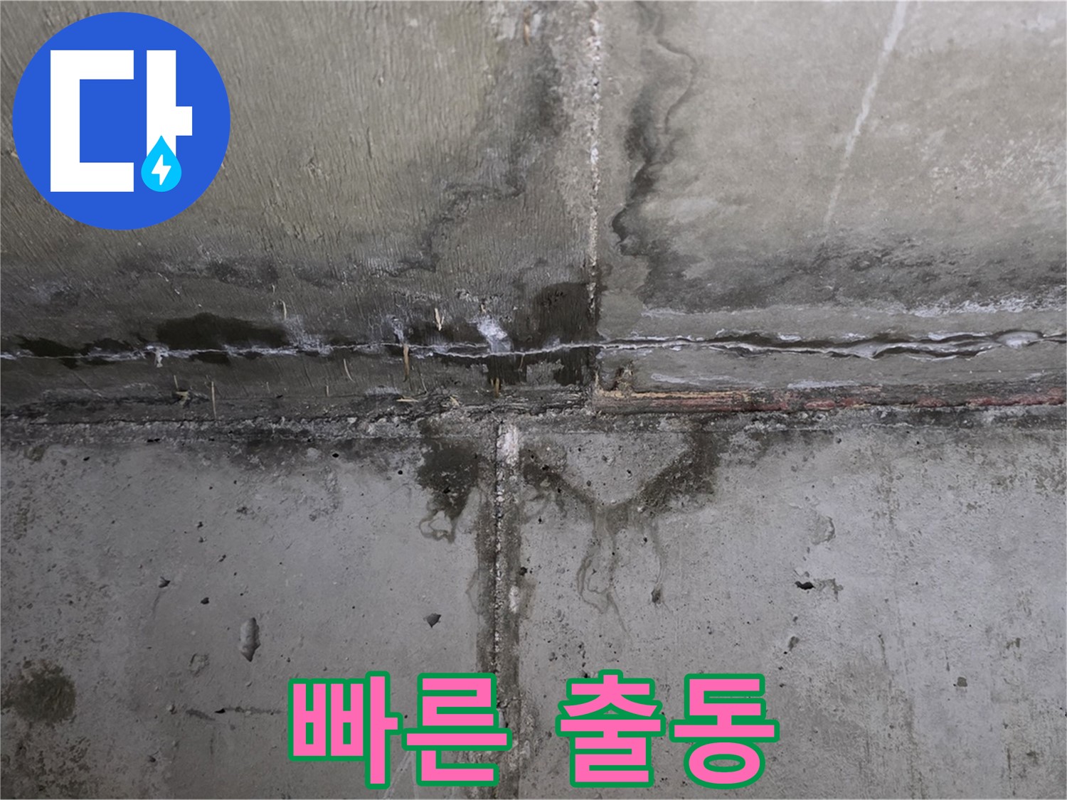 남양주 오남읍 두산아파트 벽 누수 - 빠른 출동 서비스