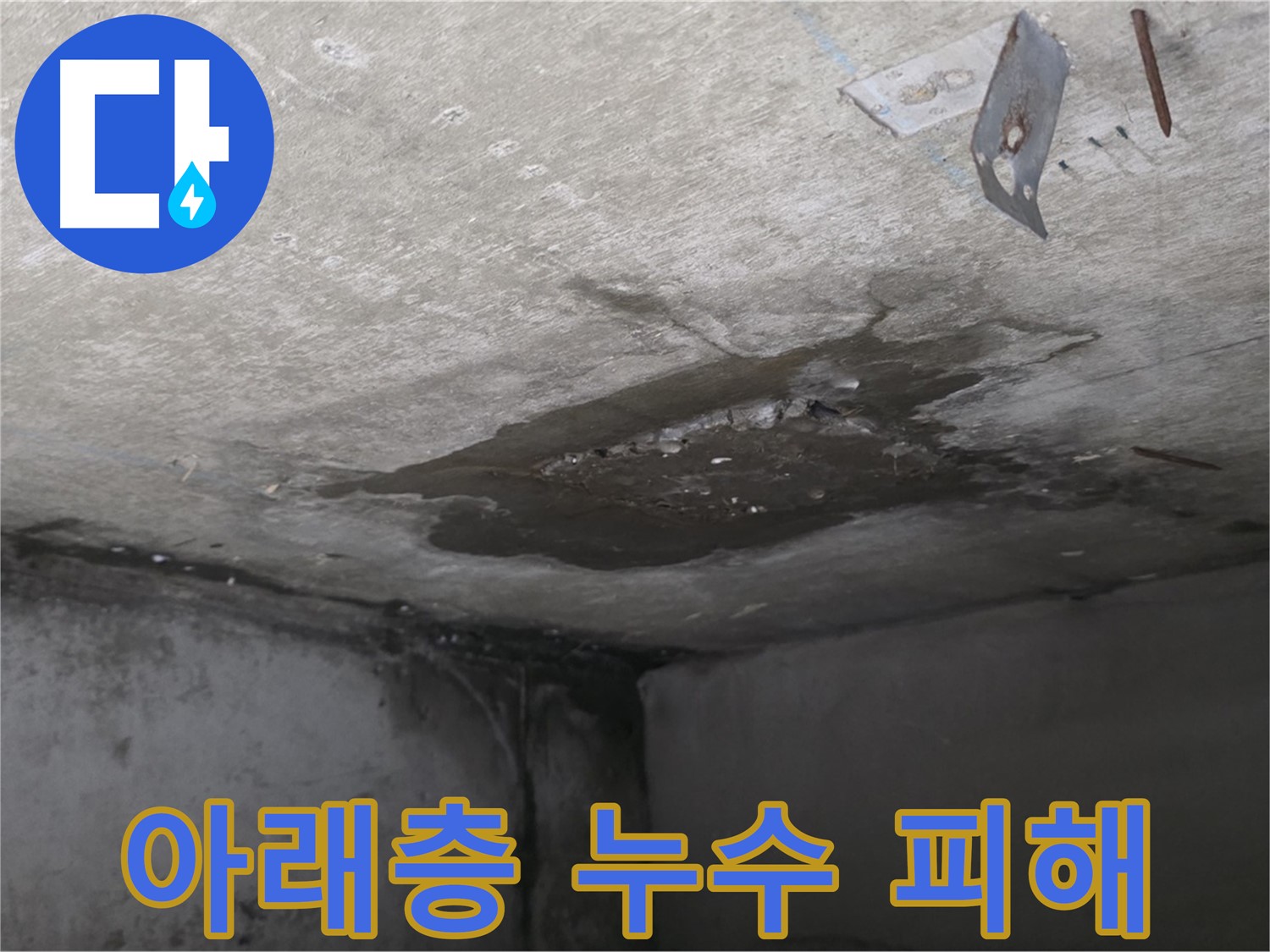 아래층 화장실 천장 누수 피해 - 심각한 얼룩과 곰팡이