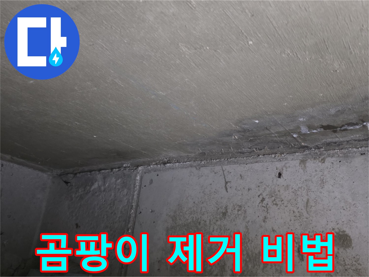 오남 두산아파트 천장 누수 곰팡이 제거 비법 공개