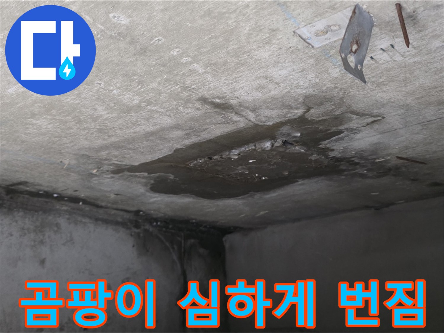 콘크리트 곰팡이 심하게 번짐 - 남양주 오남 누수