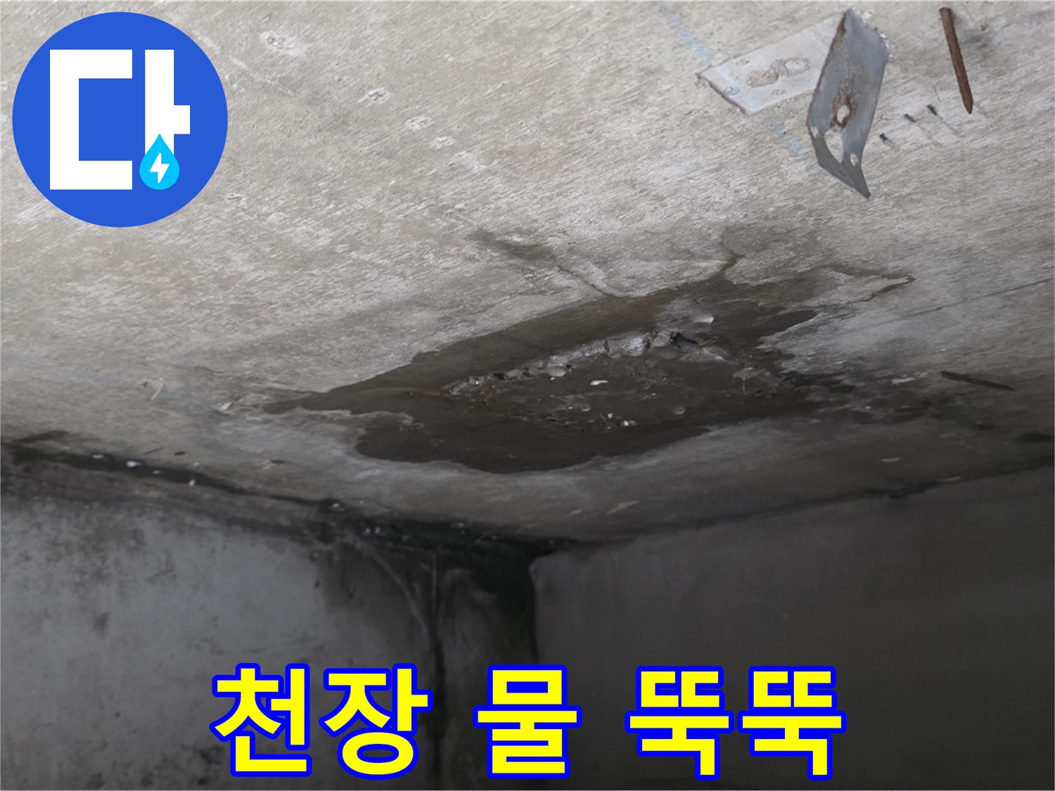 콘크리트 천장에서 물이 뚝뚝 - 남양주 오남 누수