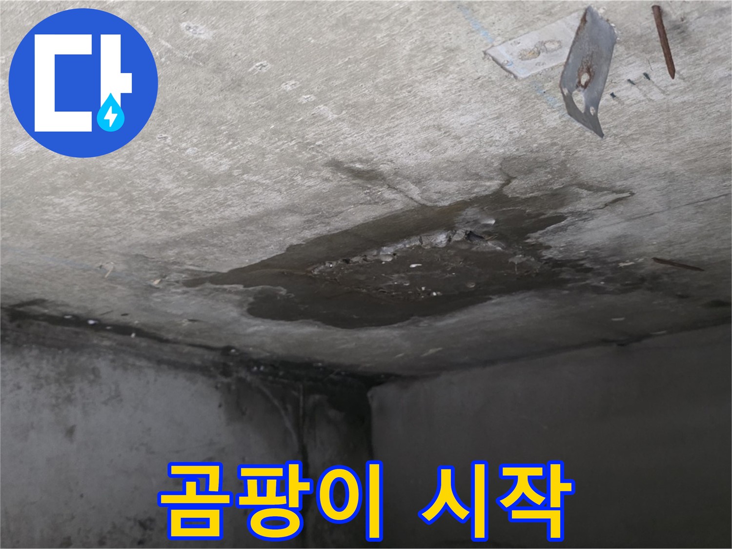콘크리트 표면 곰팡이 시작 - 남양주 오남 누수