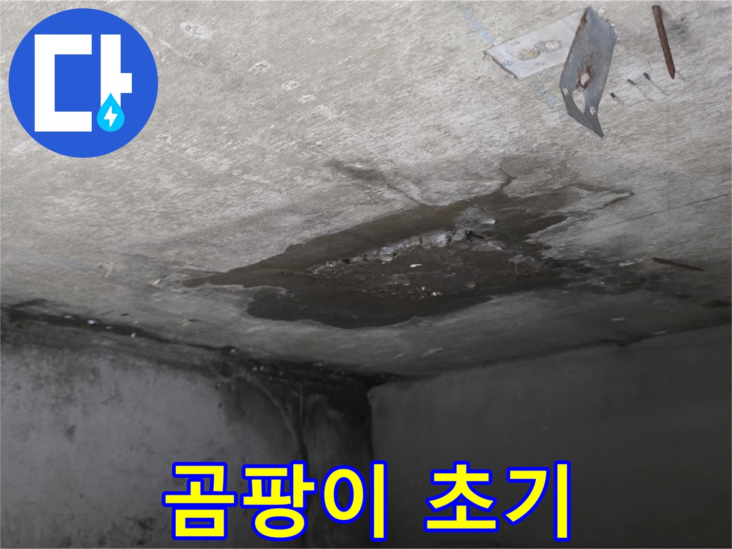 콘크리트 표면 곰팡이 초기 - 남양주 오남 누수