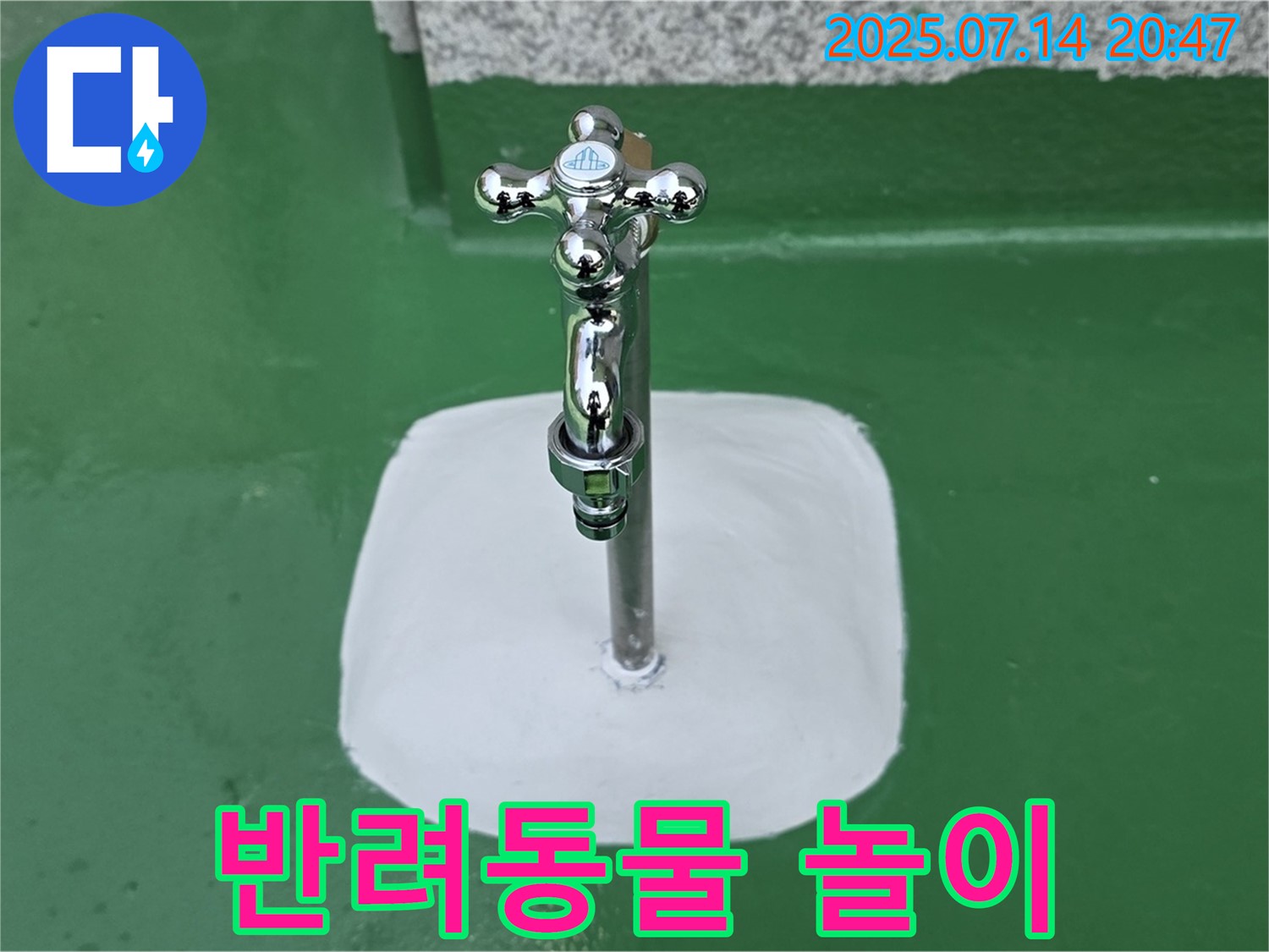 다산동 옥상 수도 누수 - 완벽 방수로 옥상에서 반려동물과 안심하고 뛰어놀기!