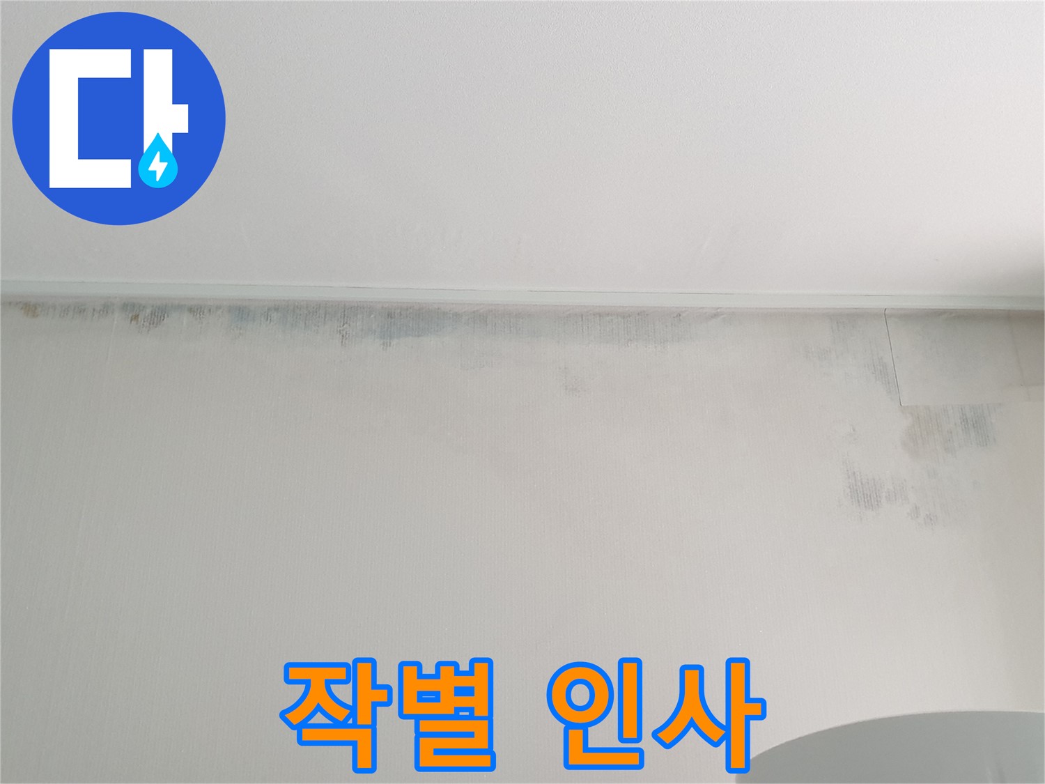 노원구 중계동 곰팡이 - 곰팡이와의 작별