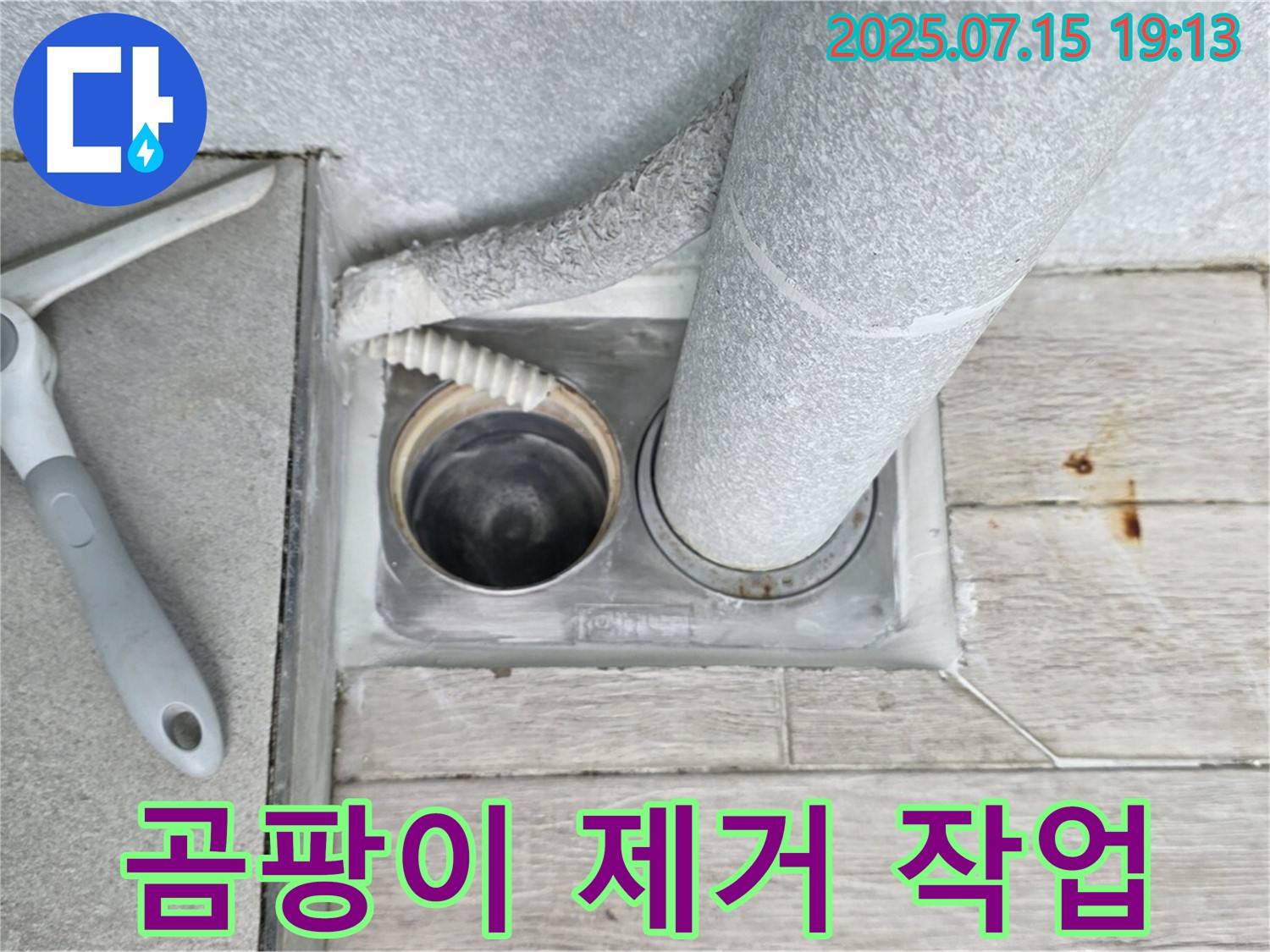노원구 중계동 청구3차 아파트 욕실 - 배수구 주변 곰팡이, 깨끗하게 제거하여 쾌적한 욕실을 만드세요.