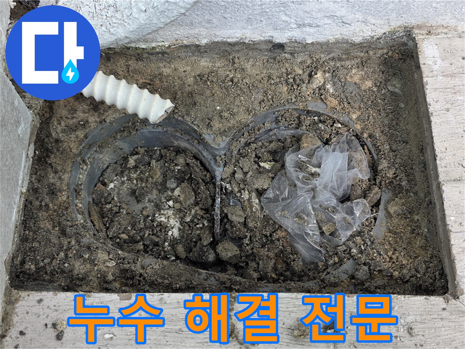 노원구 중계동 청구3차 아파트에서 배수구 주변 누수 해결 전문 업체가 누수를 해결하고 있습니다 - 믿고 맡겨주세요.