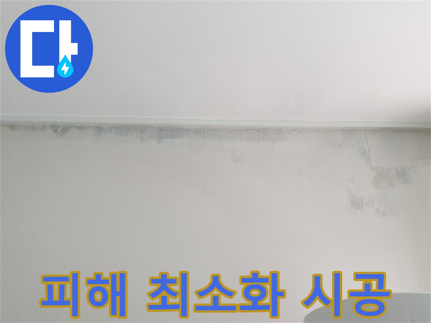 노원구 아파트 누수 및 곰팡이 피해 최소화 - 신속한 대응