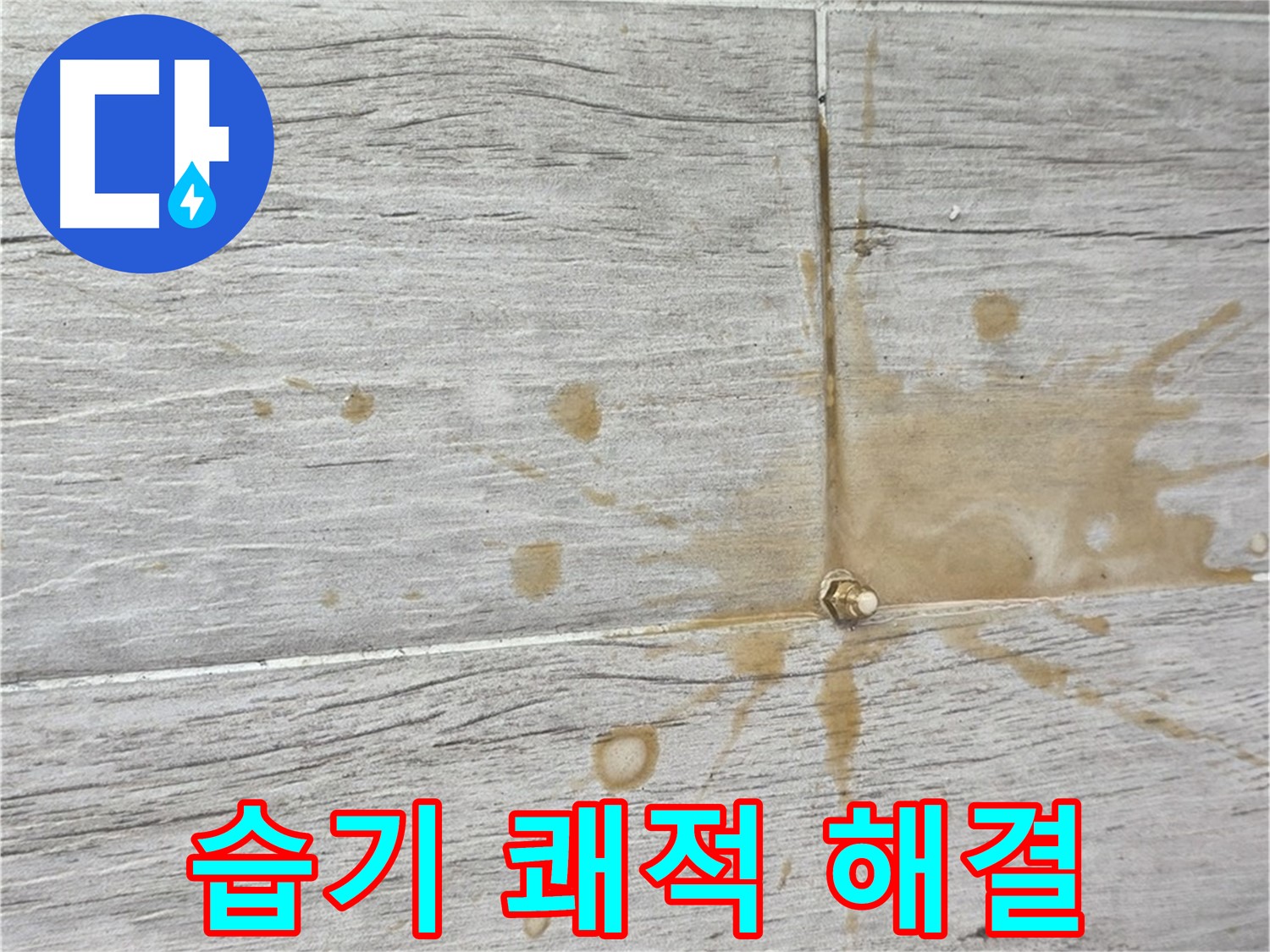 마루 아래 습기 - 곰팡이 걱정? 인젝션 방수로 쾌적하게 누수 해결
