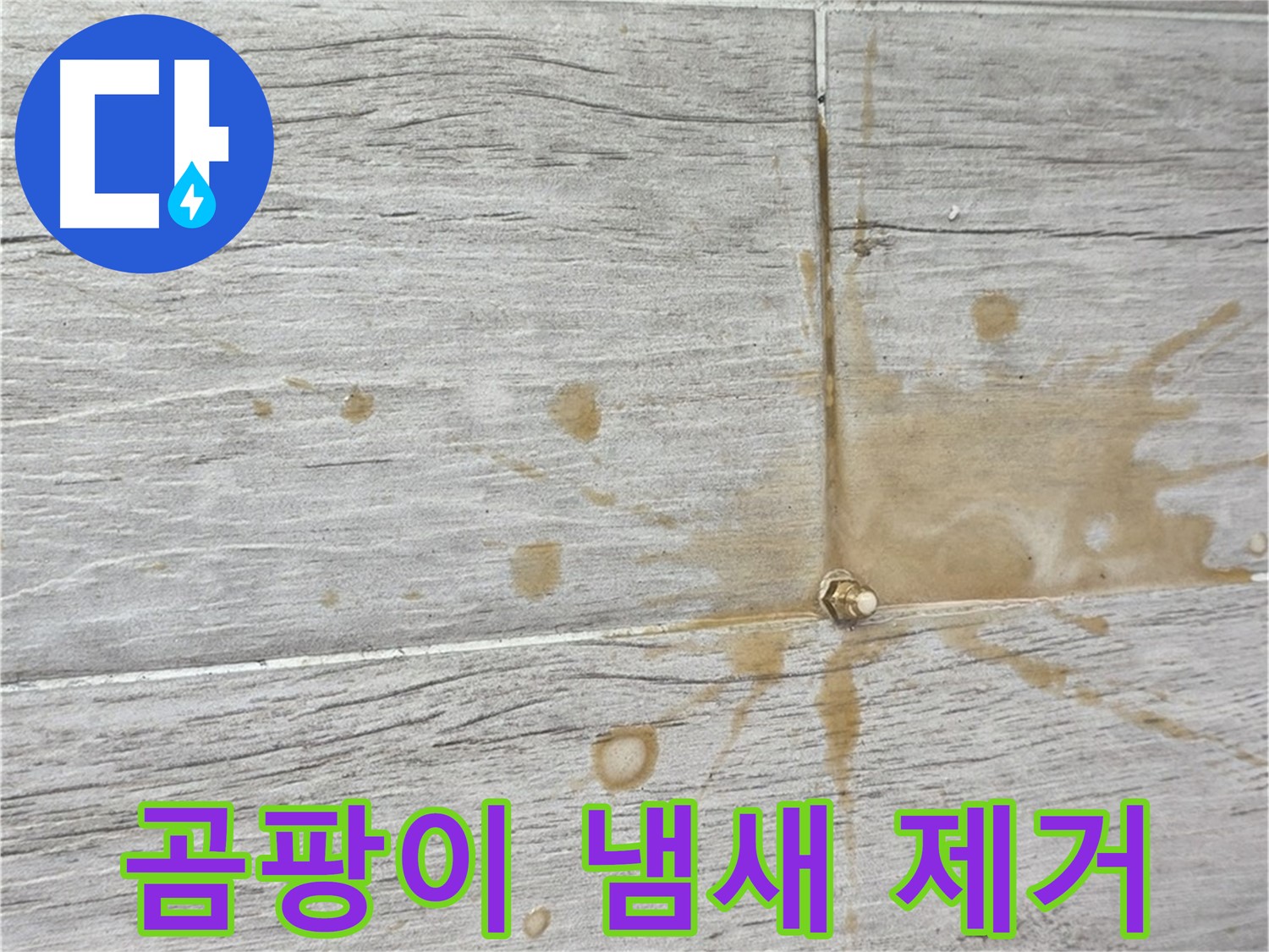 마루 틈새 곰팡이 냄새 - 인젝션 방수로 냄새까지 싹