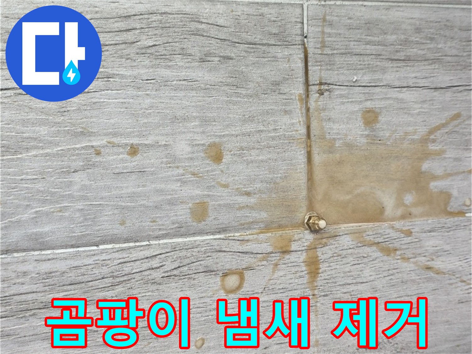 마루 틈새 곰팡이 냄새 - 인젝션 방수로 냄새까지 싹 잡아드립니다