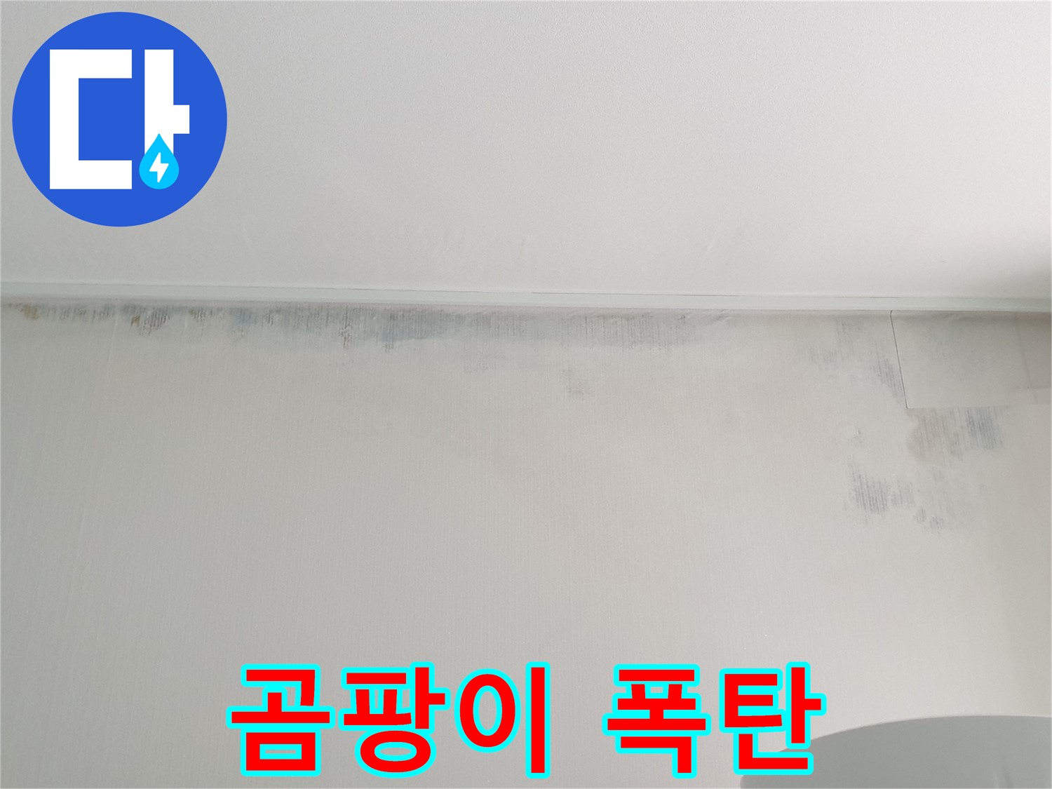 중계2동 청구3차 곰팡이 - 곰팡이 폭탄 제거