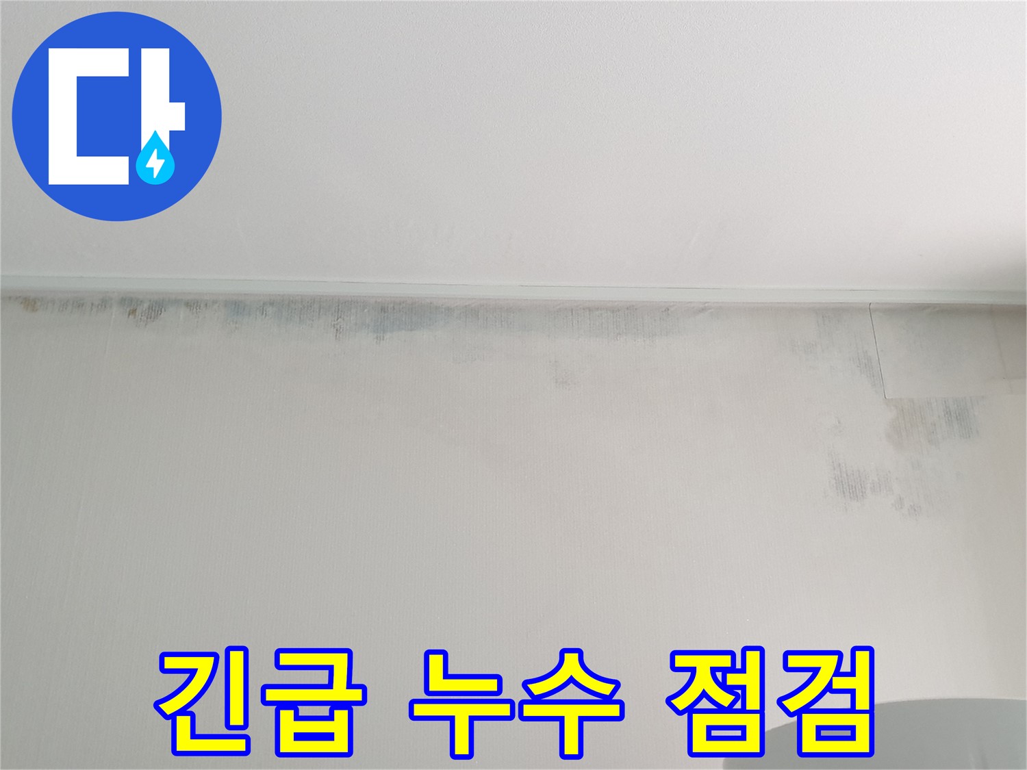 중계2동 청구3차 곰팡이 - 긴급 누수 점검