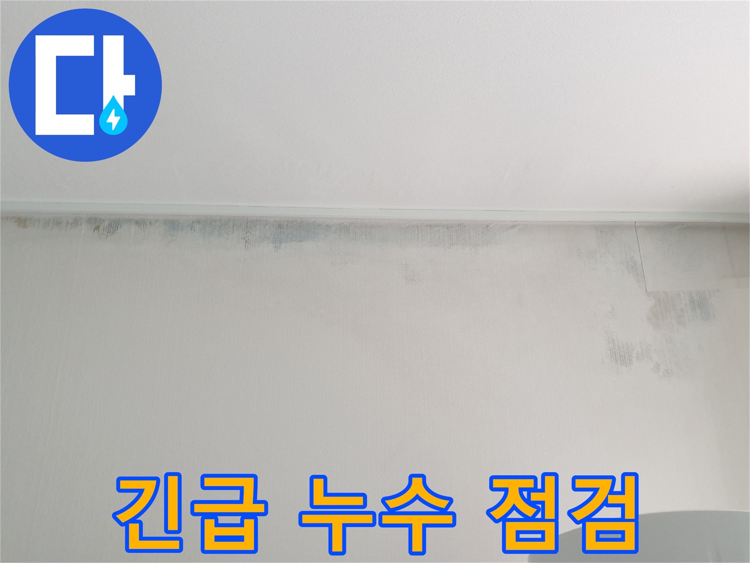 중계2동 청구3차 곰팡이 - 긴급 누수 점검