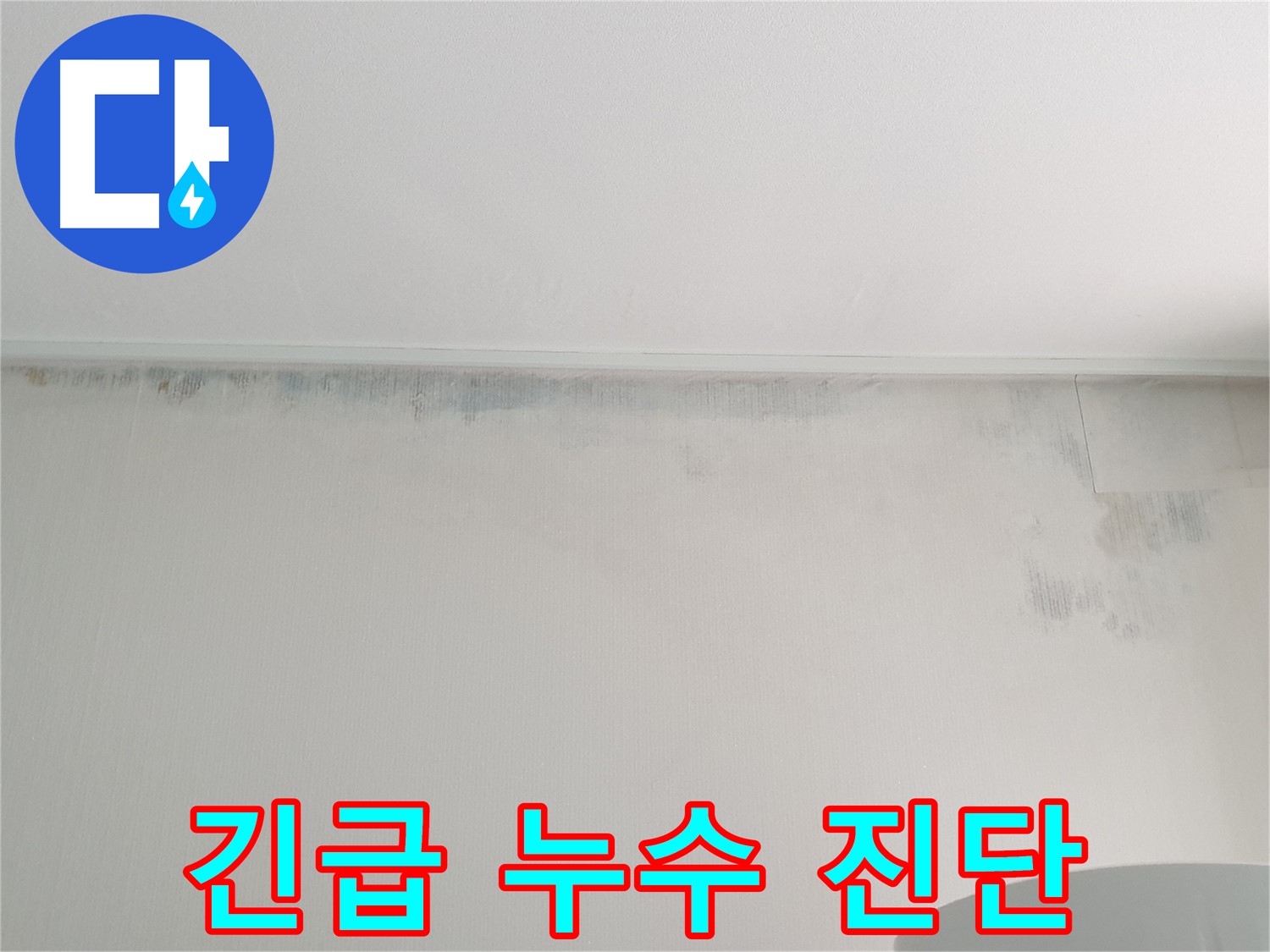 중계2동 청구3차 곰팡이 - 긴급 누수 진단