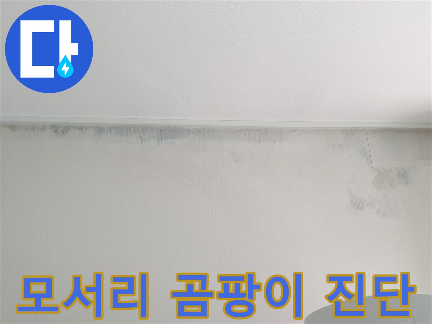 중계3동 청구3차 아파트 - 벽 모서리 곰팡이 누수 진단