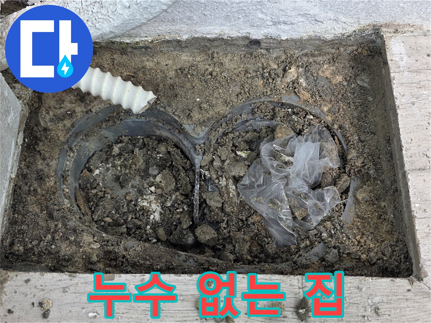 중계동 청구3차 아파트 누수 예방 - 배수구 관리로 누수 없는 쾌적한 집 만들기!