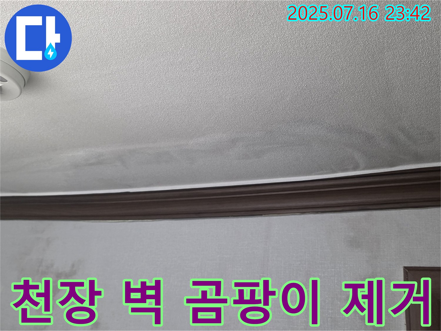 미아동 누수 현장 - 젖은 천장과 벽면에 핀 곰팡이를 제거하는 작업 모습입니다.