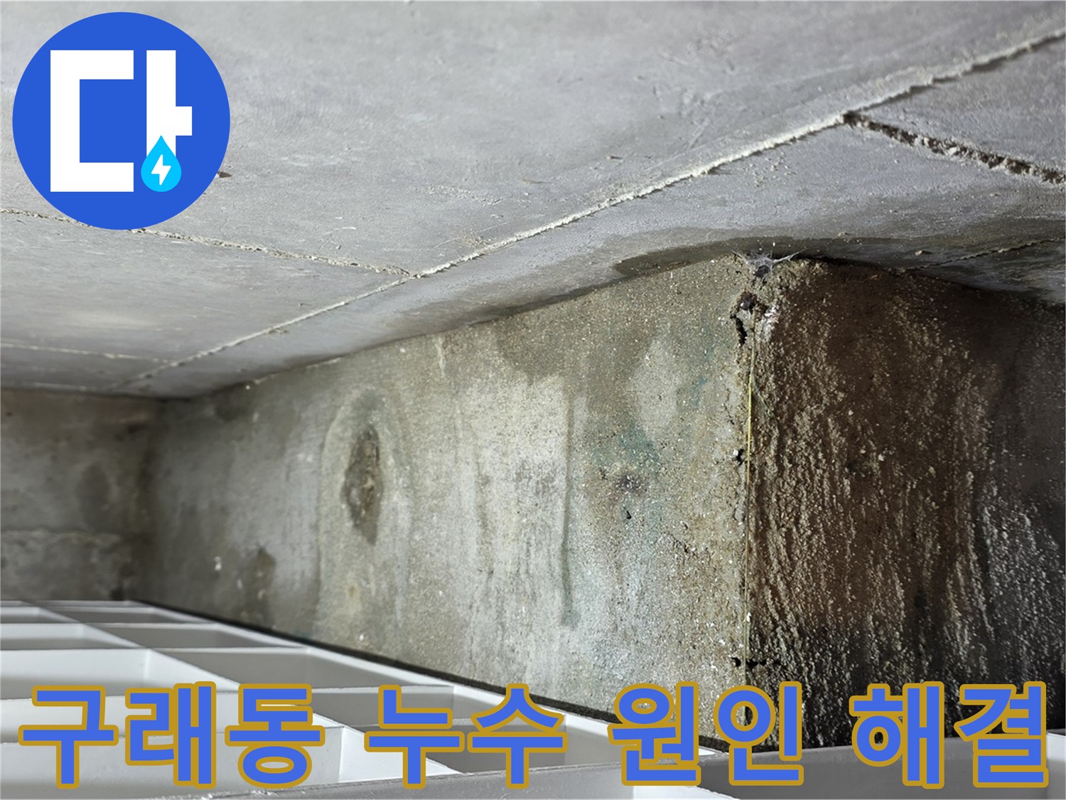 구래동 아파트 화장실 천장 누수 - 비트 공용부 파이프 문제 확인