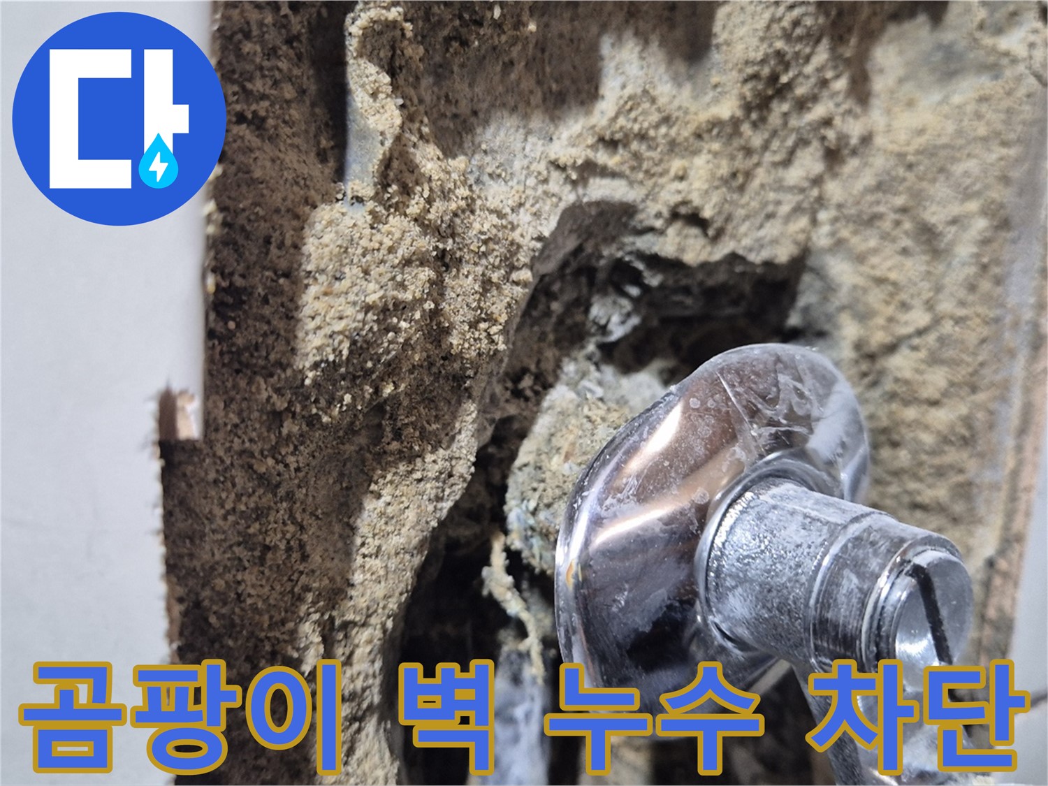 마포구 합정동 현대빌라 - 곰팡이 핀 벽 누수 완벽 차단
