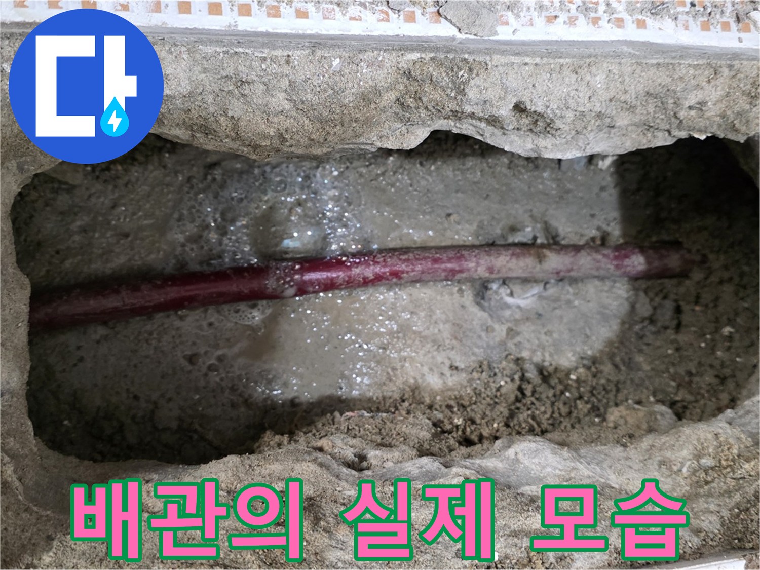 노원구 누수 공사 현장 - 굴착 후 배관의 실제 모습 공개