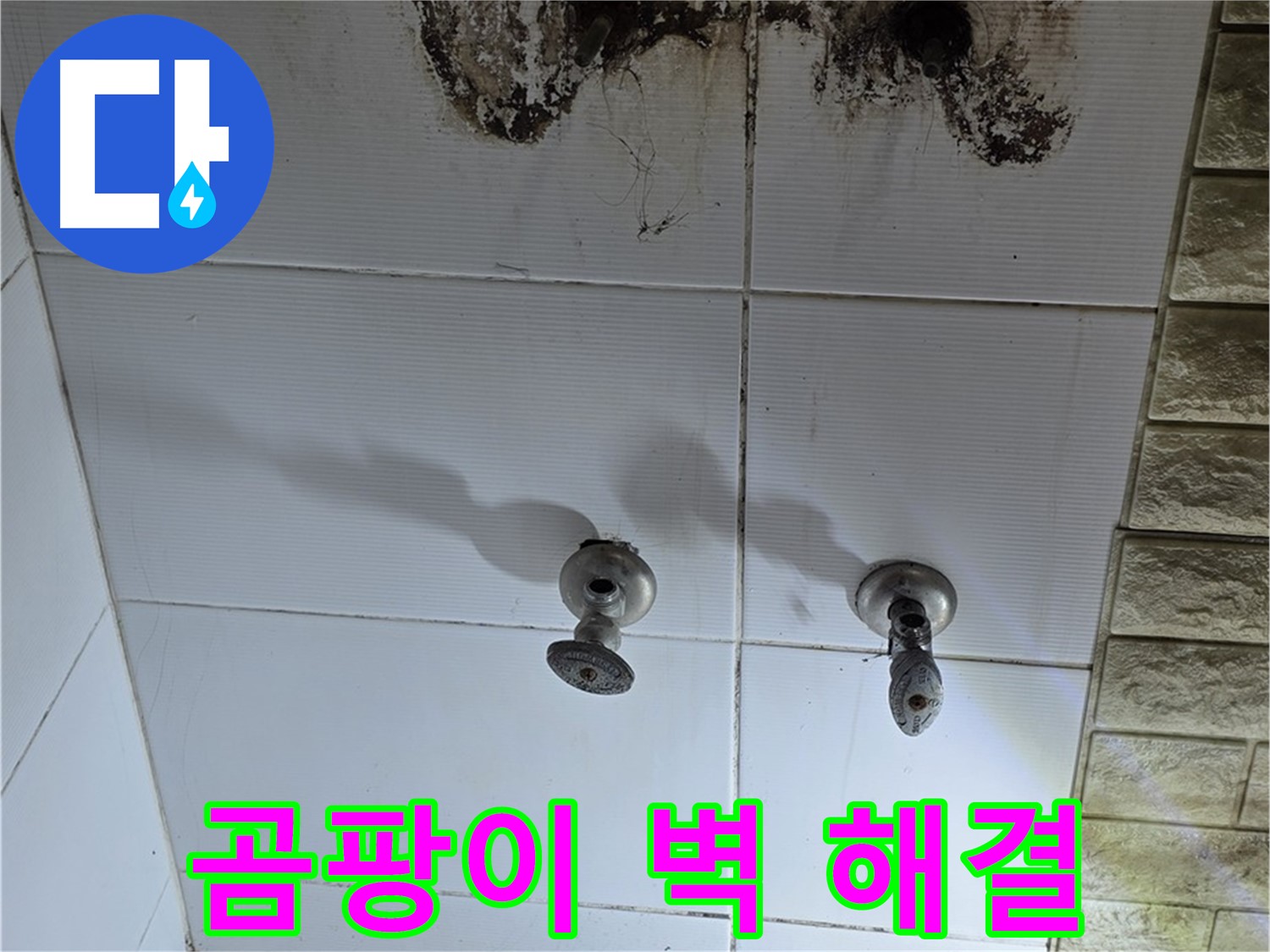 노원구 상계동 곰팡이 핀 욕실 벽 - 정확한 누수 진단과 완벽한 해결로 쾌적한 욕실 환경을 만들어 드립니다.