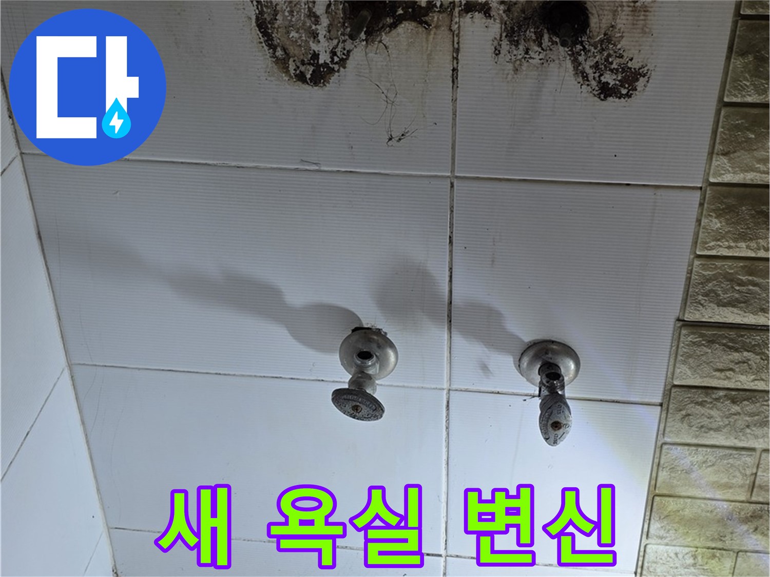 상계동 곰팡이 가득한 욕실 - 누수 문제를 해결하고 새 욕실처럼 깨끗하게 변신시켜 드립니다.