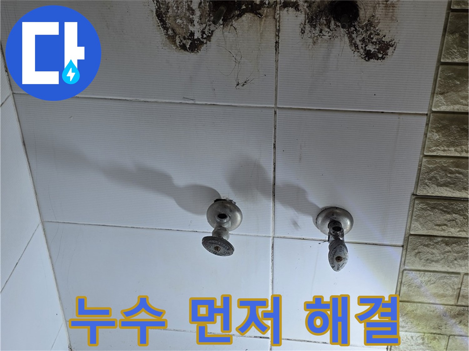 상계동 욕실 곰팡이 - 곰팡이 제거 전에 누수부터 잡아야 재발을 막을 수 있습니다.