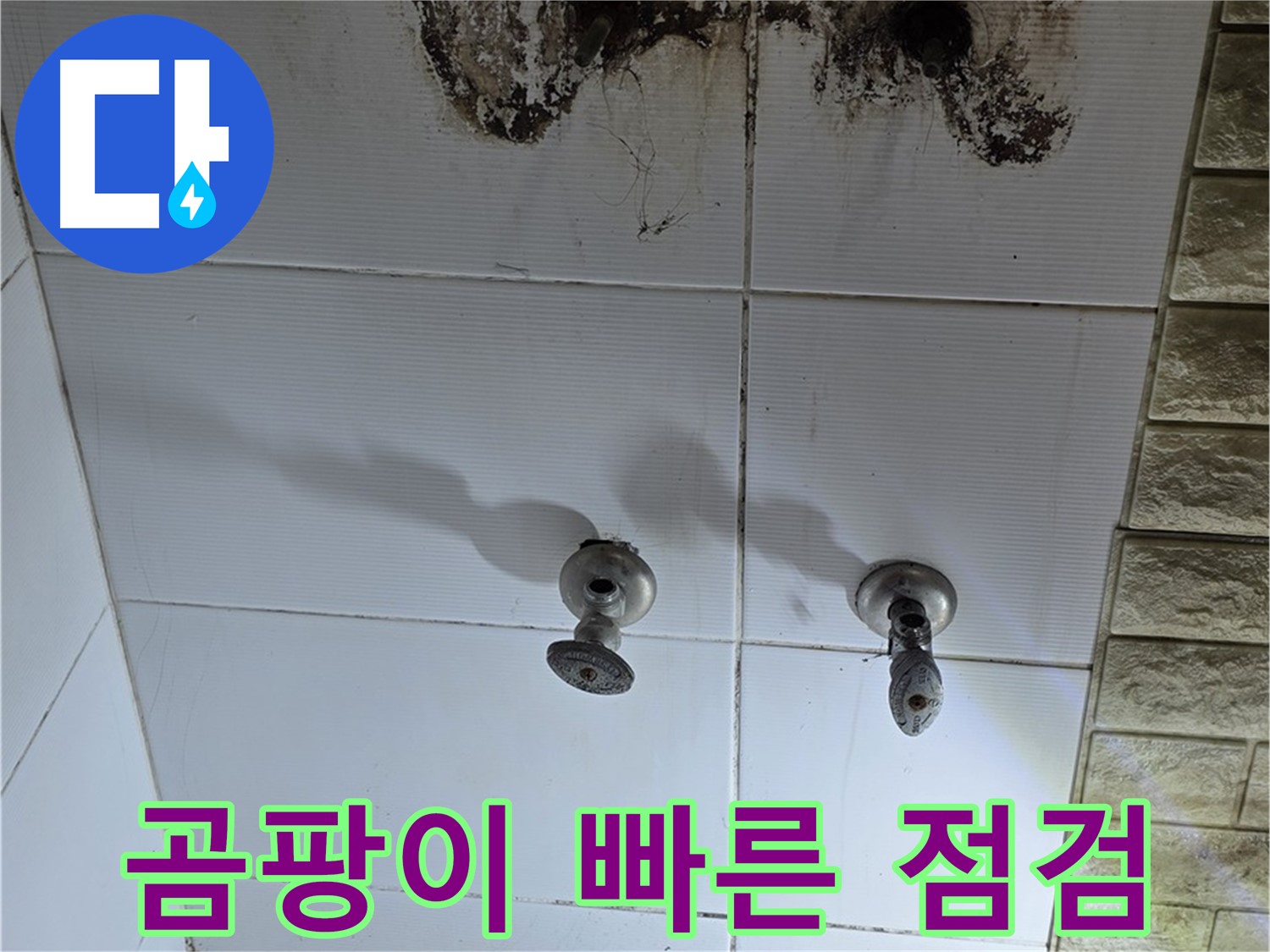 상계동 욕실 곰팡이 방치 금지 - 빠른 점검과 해결로 건강하고 쾌적한 욕실을 만드세요.