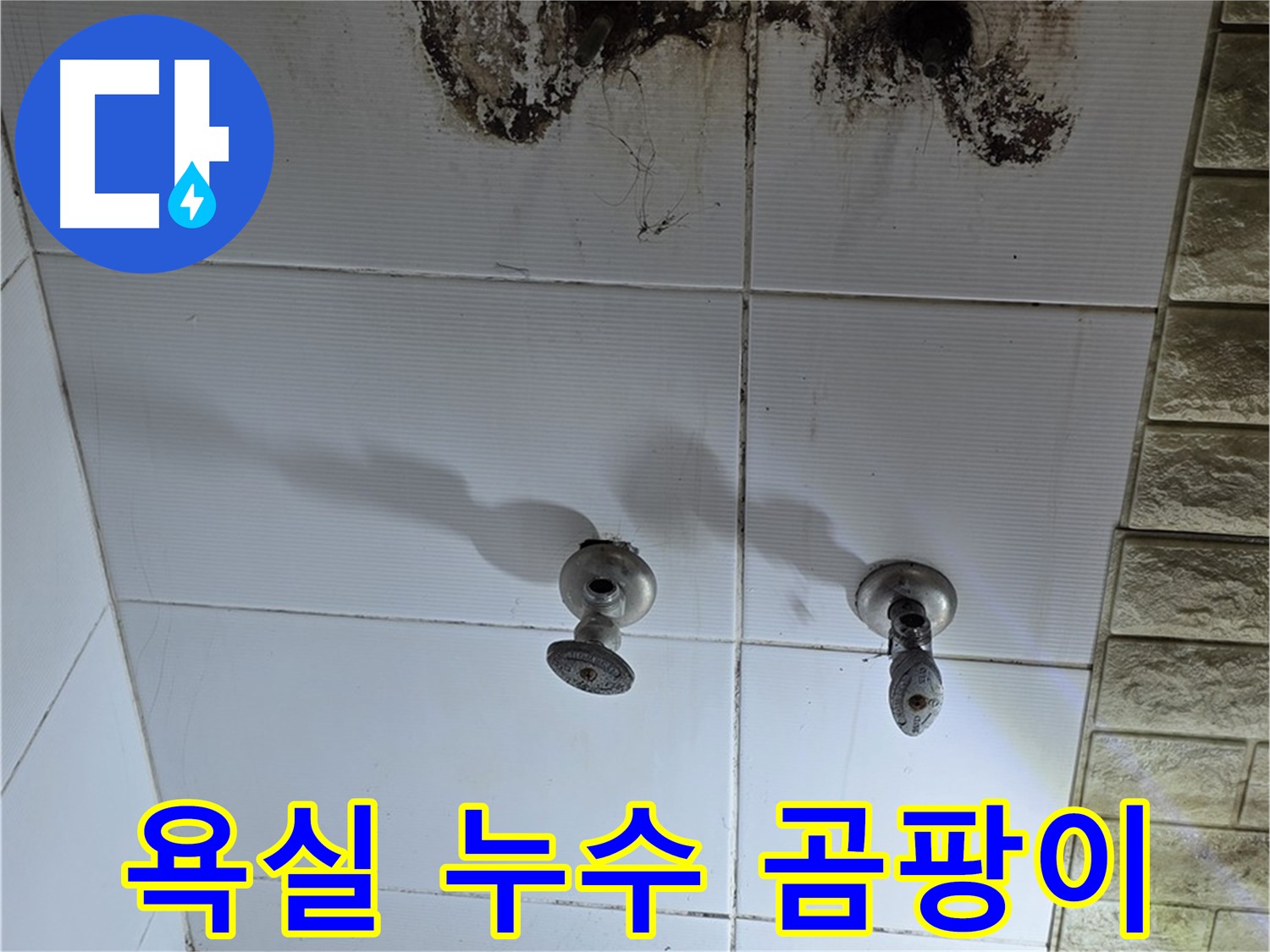 상계동 욕실 누수로 인한 곰팡이 발생 - 누수탐지 전문 업체에서 정확한 진단과 해결책을 제시합니다.