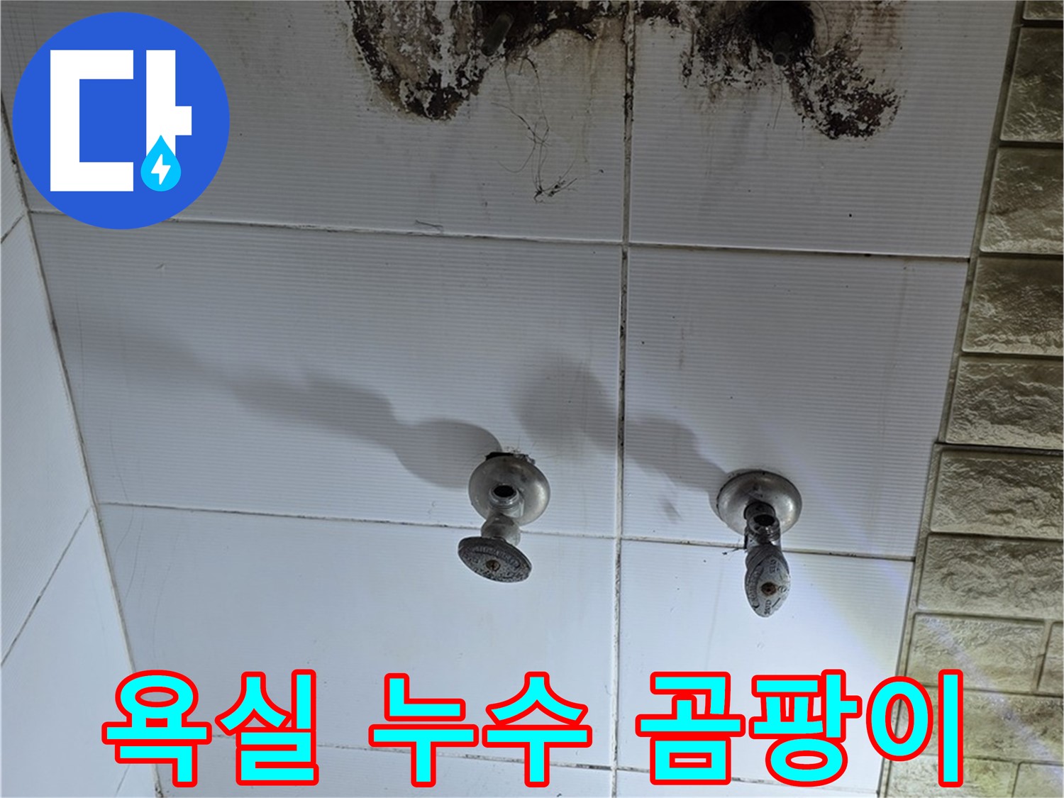 상계동 욕실 누수로 인한 곰팡이 발생 - 누수탐지 전문 업체에서 정확한 진단과 해결책을 제시합니다.