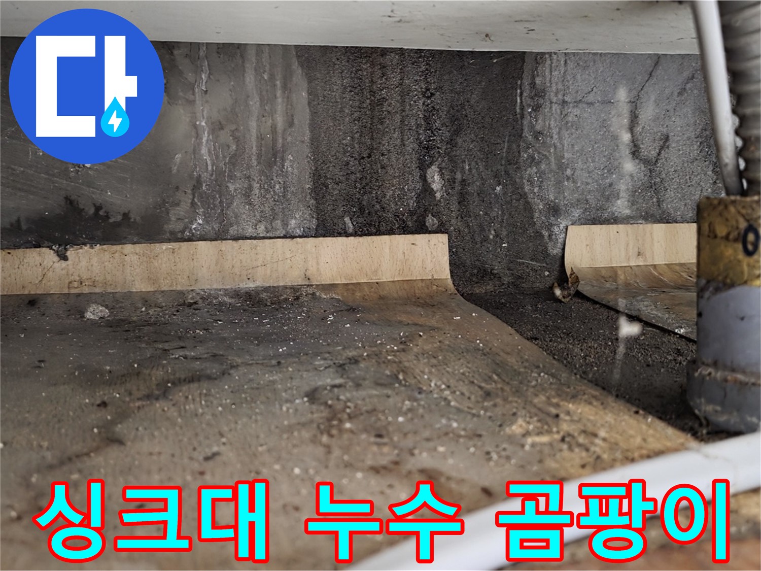 싱크대 누수 - 곰팡이 발생 위험