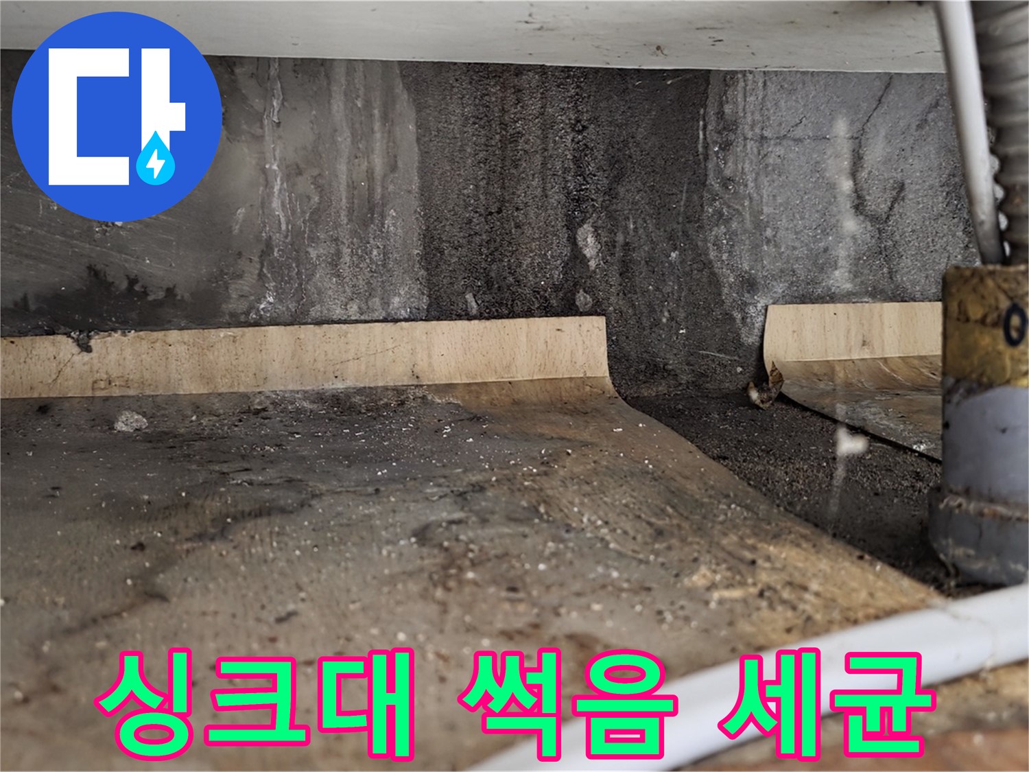 싱크대 누수 - 썩은 하부장 세균