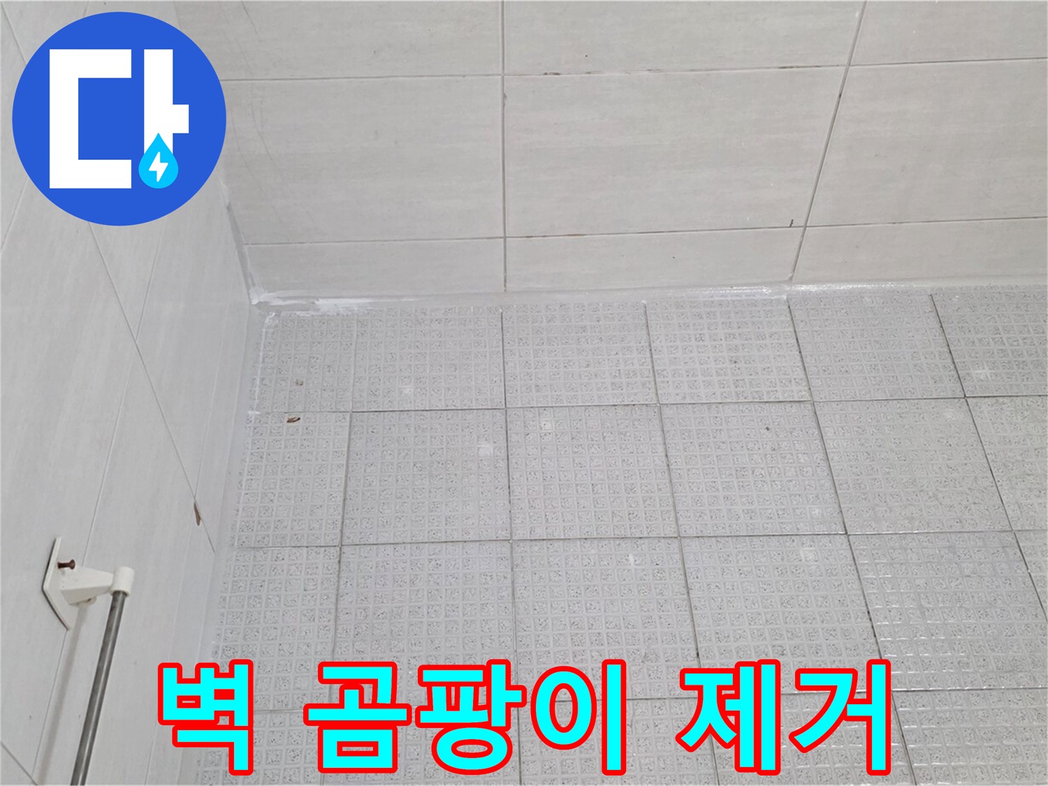 과천 욕실 벽 타일 곰팡이 제거 후 누수 방지 시공 - 누수 전문가의 꼼꼼한 시공