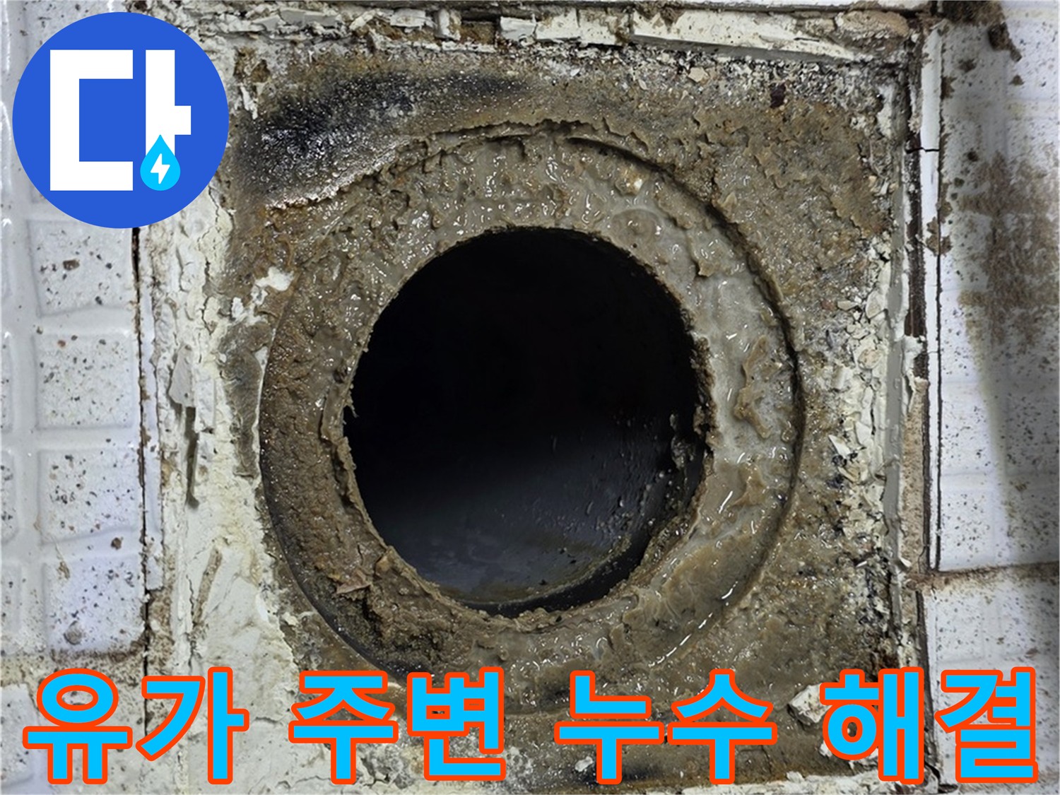 물이 고인 유가 - 방수층 손상으로 인한 지속적인 누수