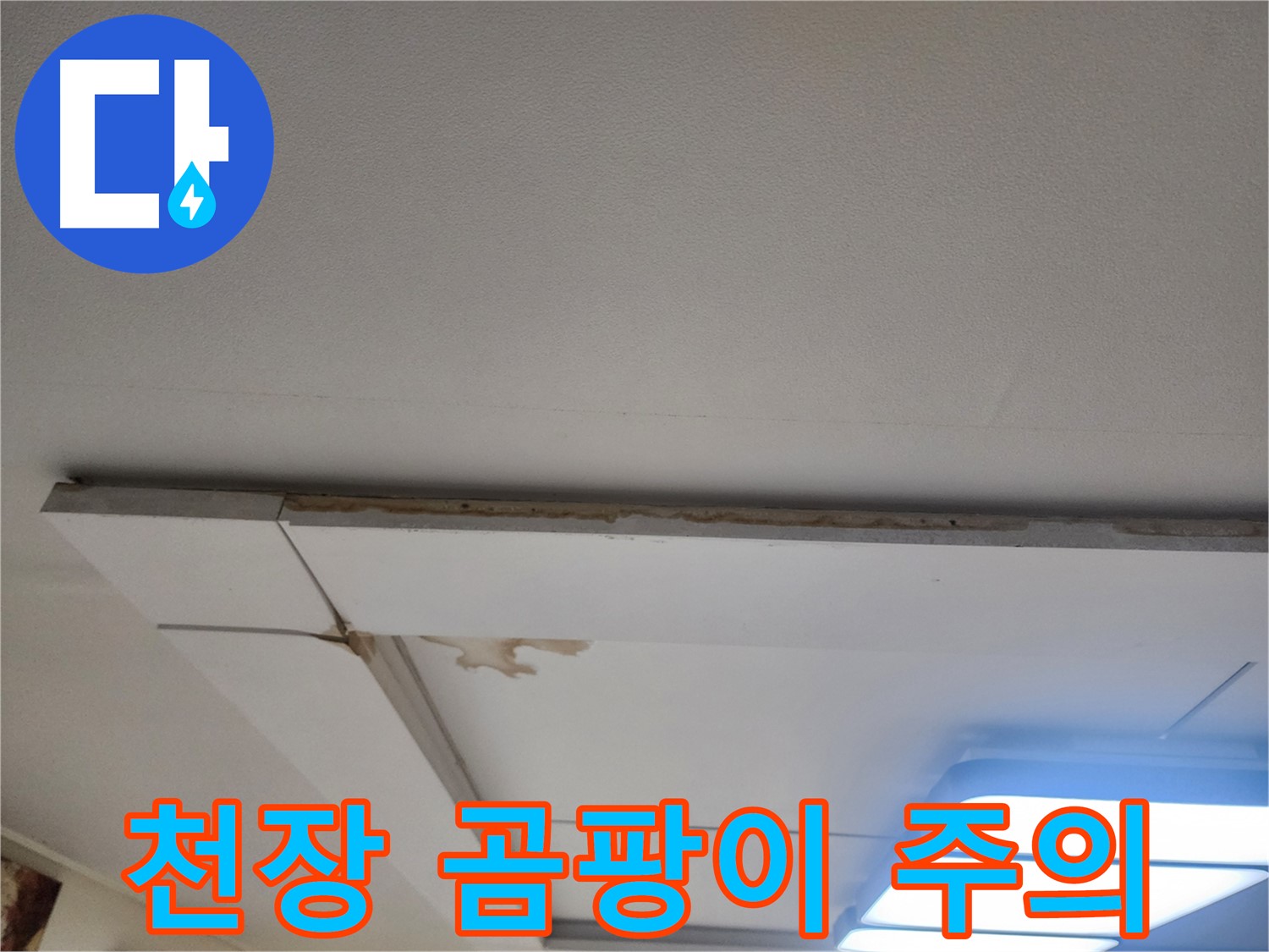 고양시 일산서구 가좌동 누수 - 천장 누수, 곰팡이 번식 주의하세요!