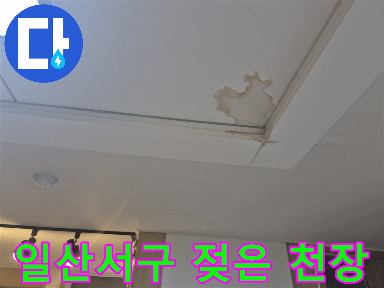 고양시 일산서구 천장 누수 - 젖어버린 천장 - 누수 의심 시 전문가의 점검이 필요합니다