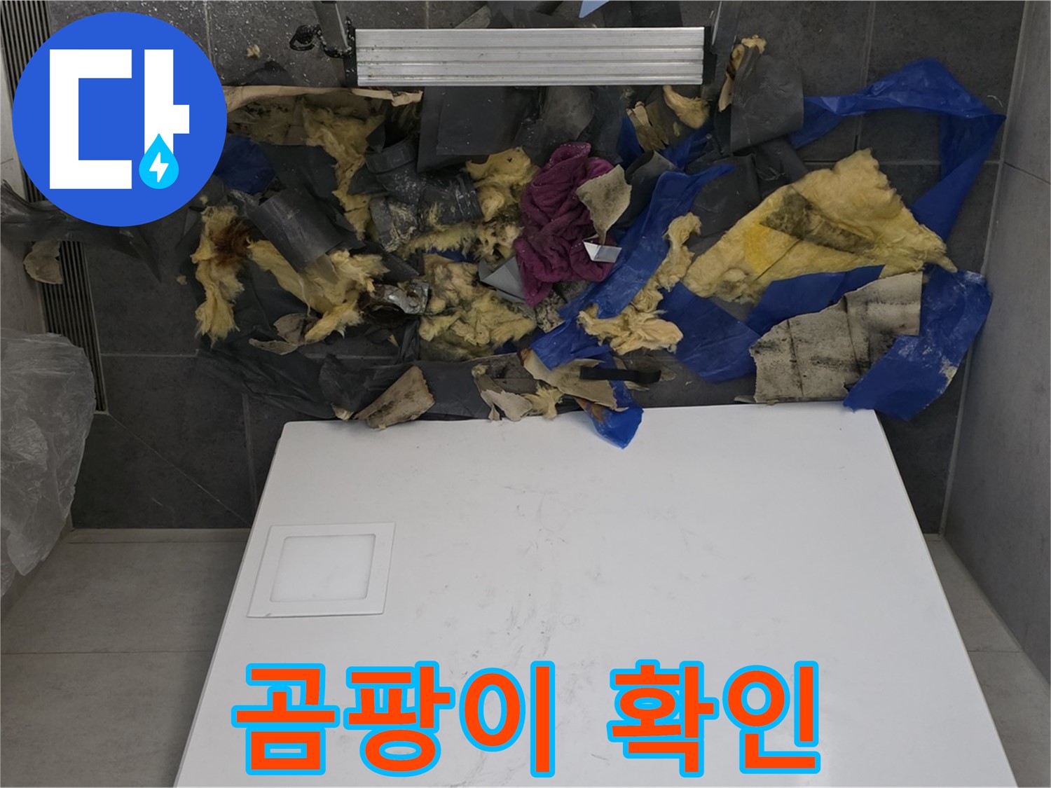 노원구 중계동 라이프청구신동아 108동 욕실 천장 - 젖은 폐기물의 곰팡이 오염 상태 상세 확인