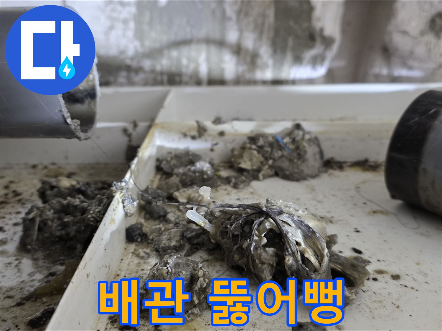 노원구 중계동 라이프청구신동아아파트 - 꽉 막힌 배관, 시원하게 뚫어뻥!