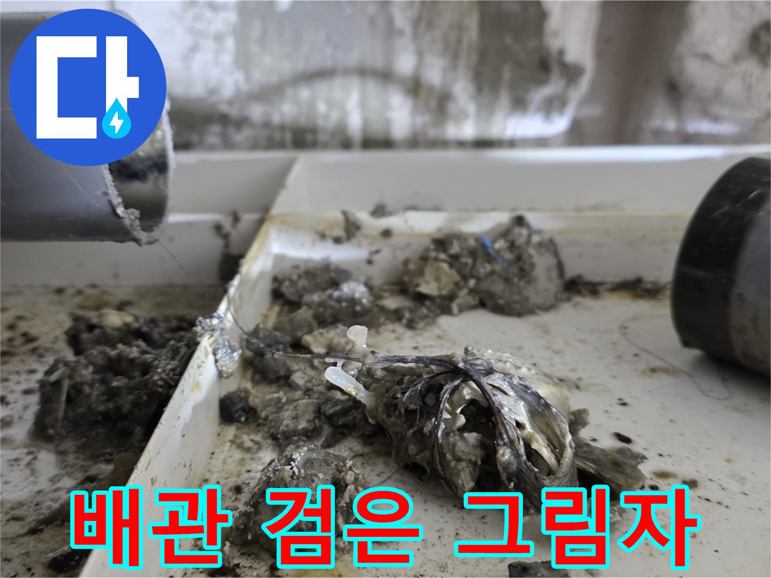 노원구 중계동 라이프청구신동아아파트 - 배관 속 '검은 그림자' 습격, 누수 미스터리 해결