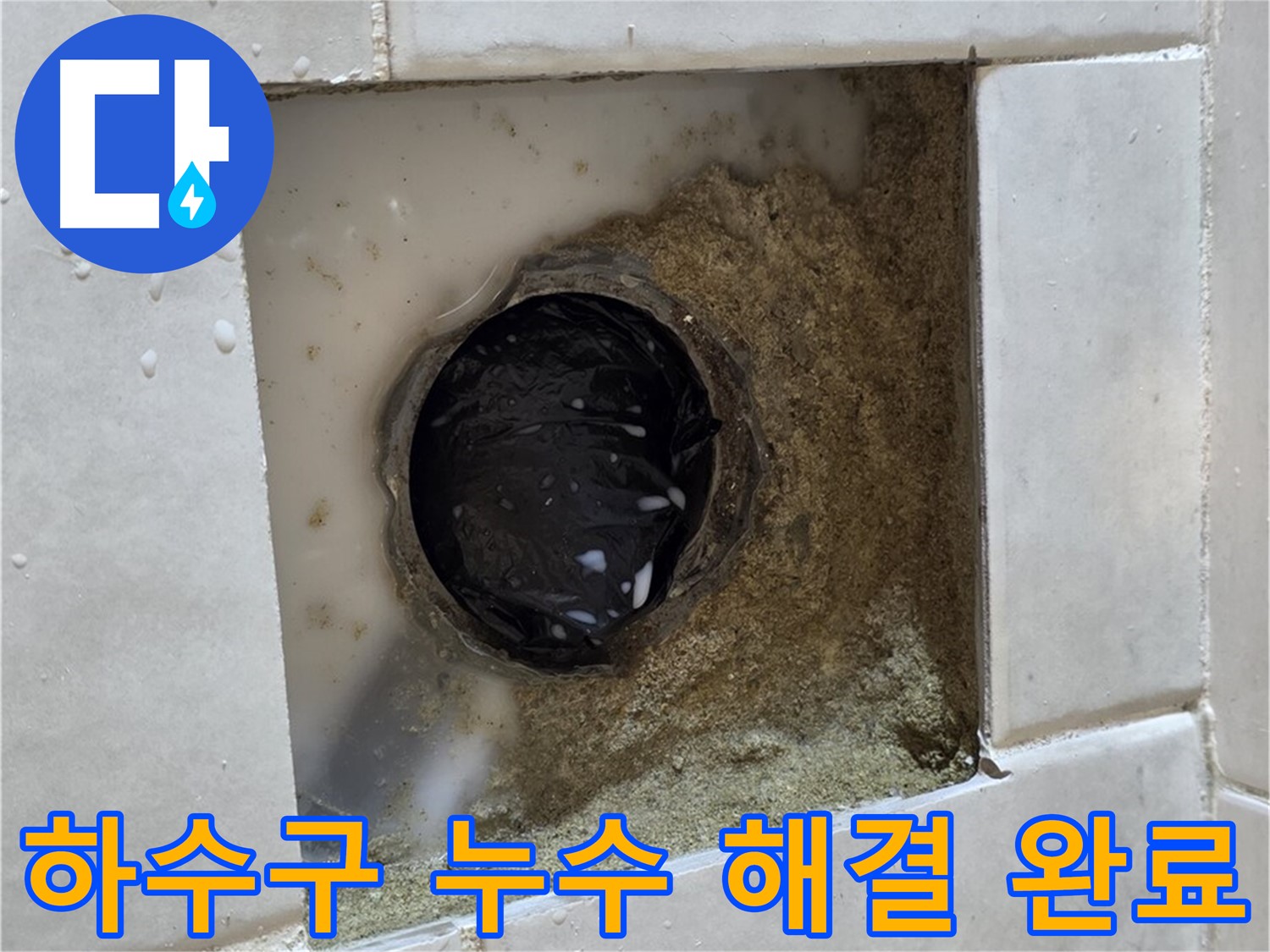 과천 문원동 욕실 하수구 누수 - 젖어있는 하수구, 숙련된 기술로 확실하게 해결 완료
