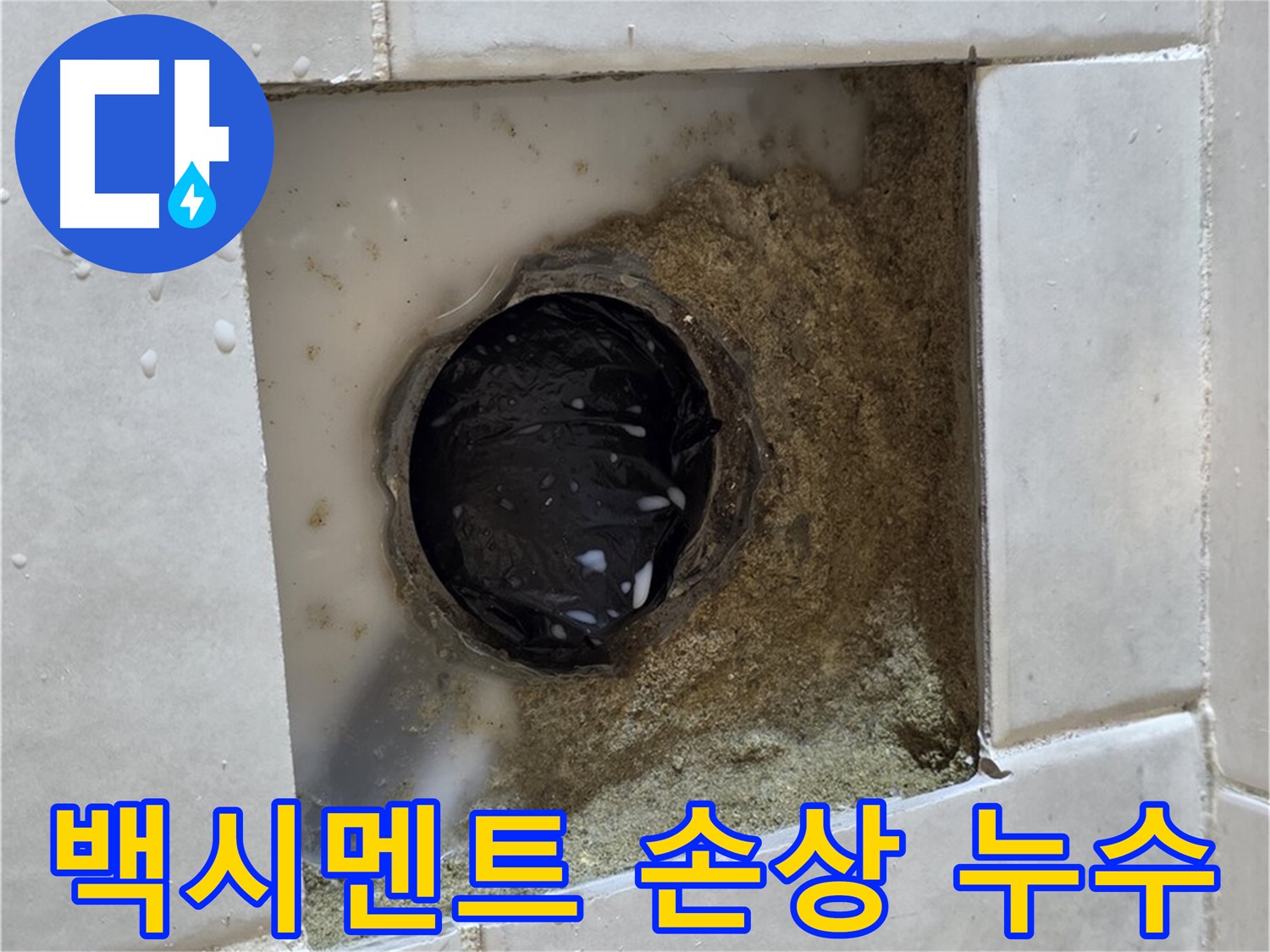 과천 문원동 욕실 하수구 주변 백시멘트 손상 누수 - 손상된 백시멘트 틈새의 물기, 꼼꼼한 점검과 완벽한 해결