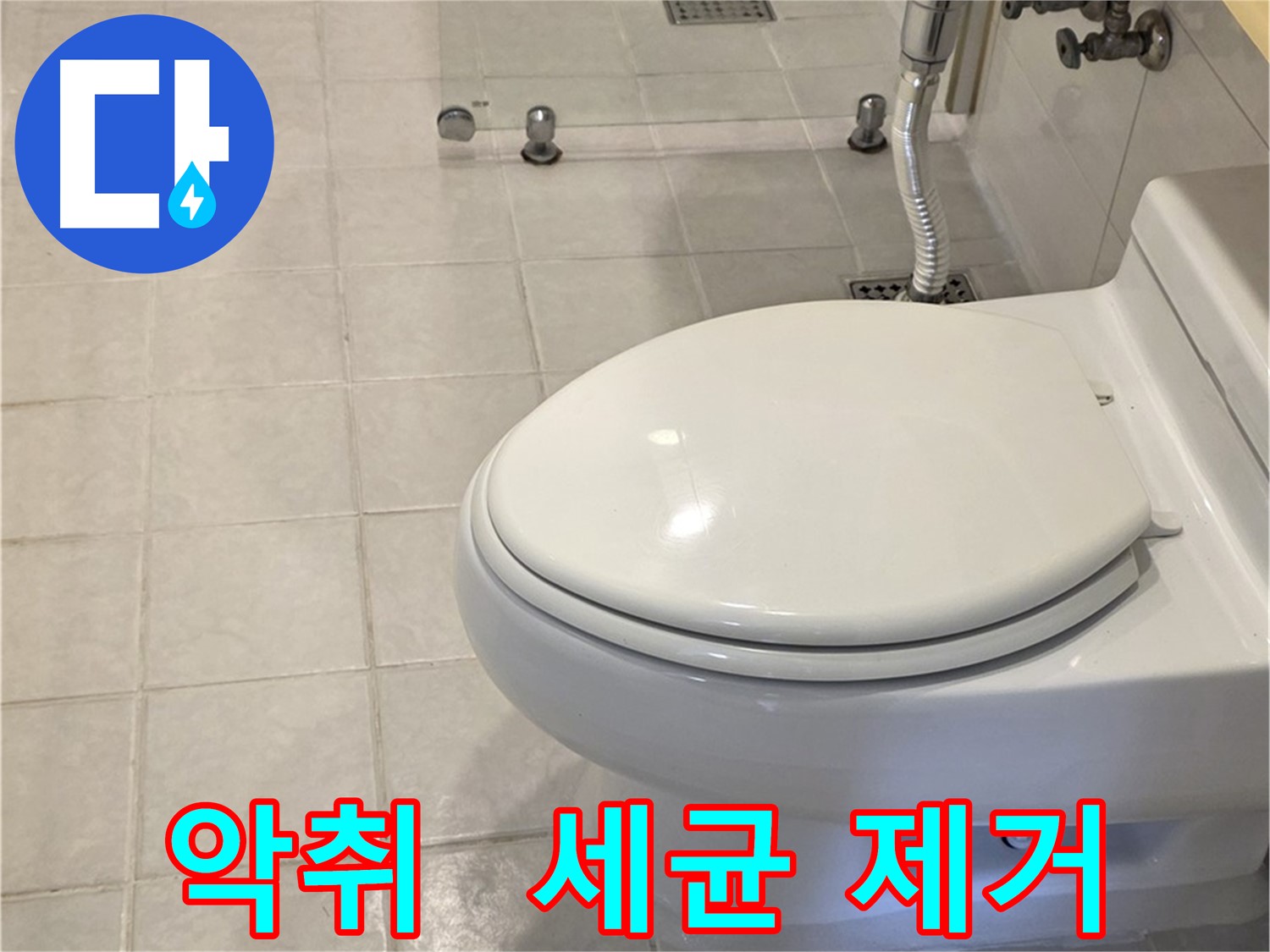과천 변기 교체 - 악취 및 세균 제거 후 새 변기 설치