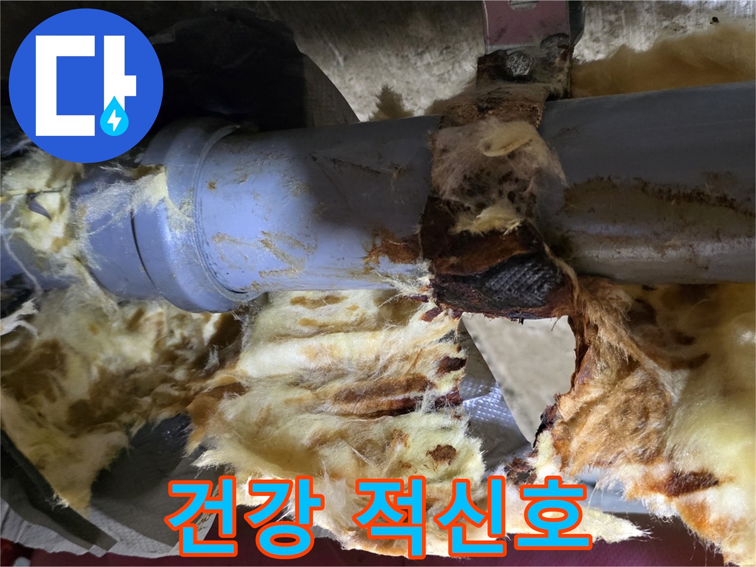 남양주 두산아파트 누수 - 배관 누수로 인해 젖은 단열재에 곰팡이가 슬어 곰팡이 포자가 확산되어 건강을 위협하고 있습니다.