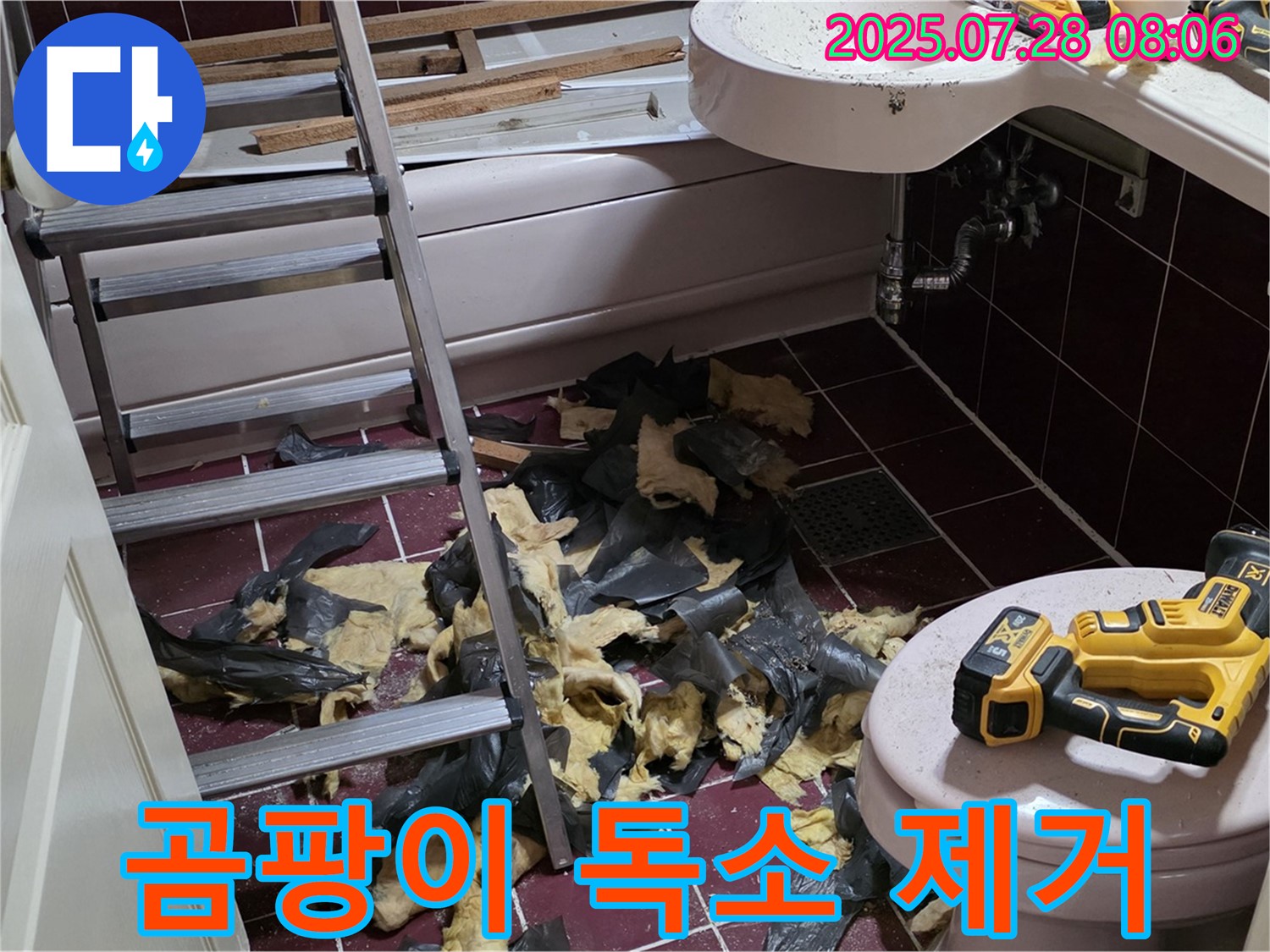 남양주 화도 (구)두산아파트 욕실 누수 - 철거 후 곰팡이 독소 발견 - 전문 장비로 완벽하게 제거합니다!